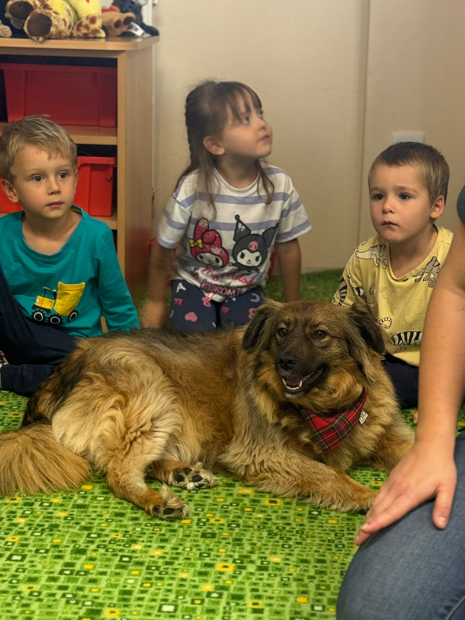 WhatsApp Image 2025-09-16 at 10.52.25