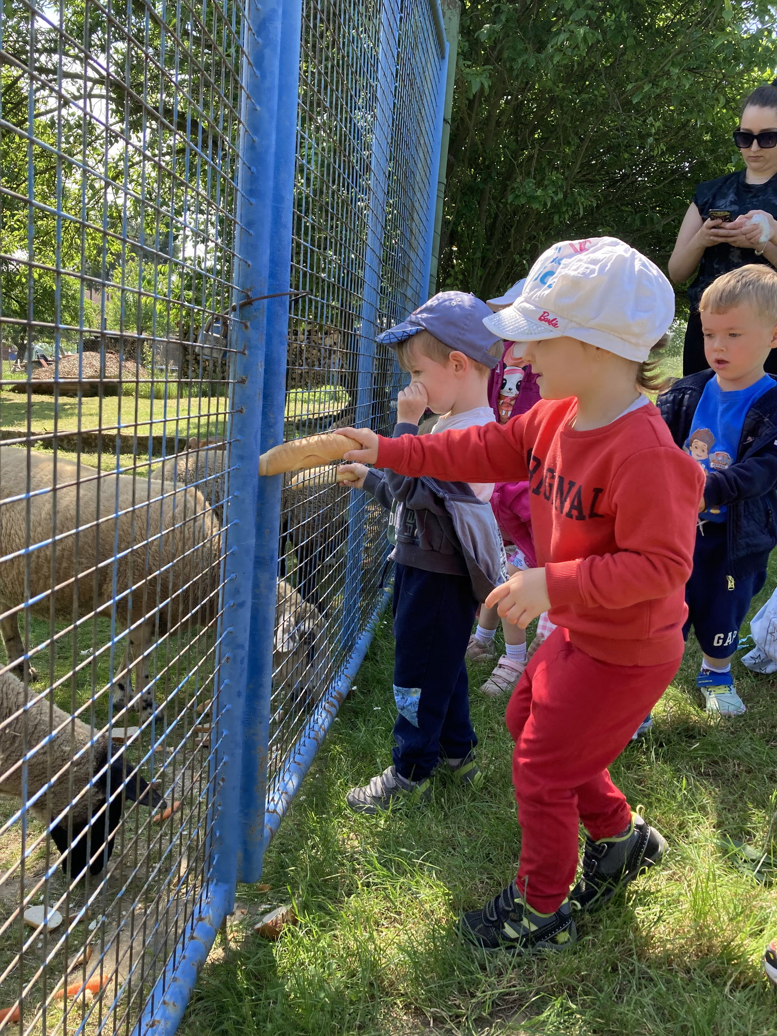 A41258AE-E5FD-418C-BEF9-498F3C93F8D2