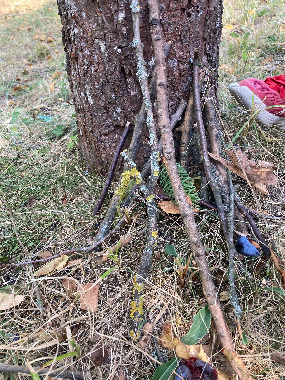 14