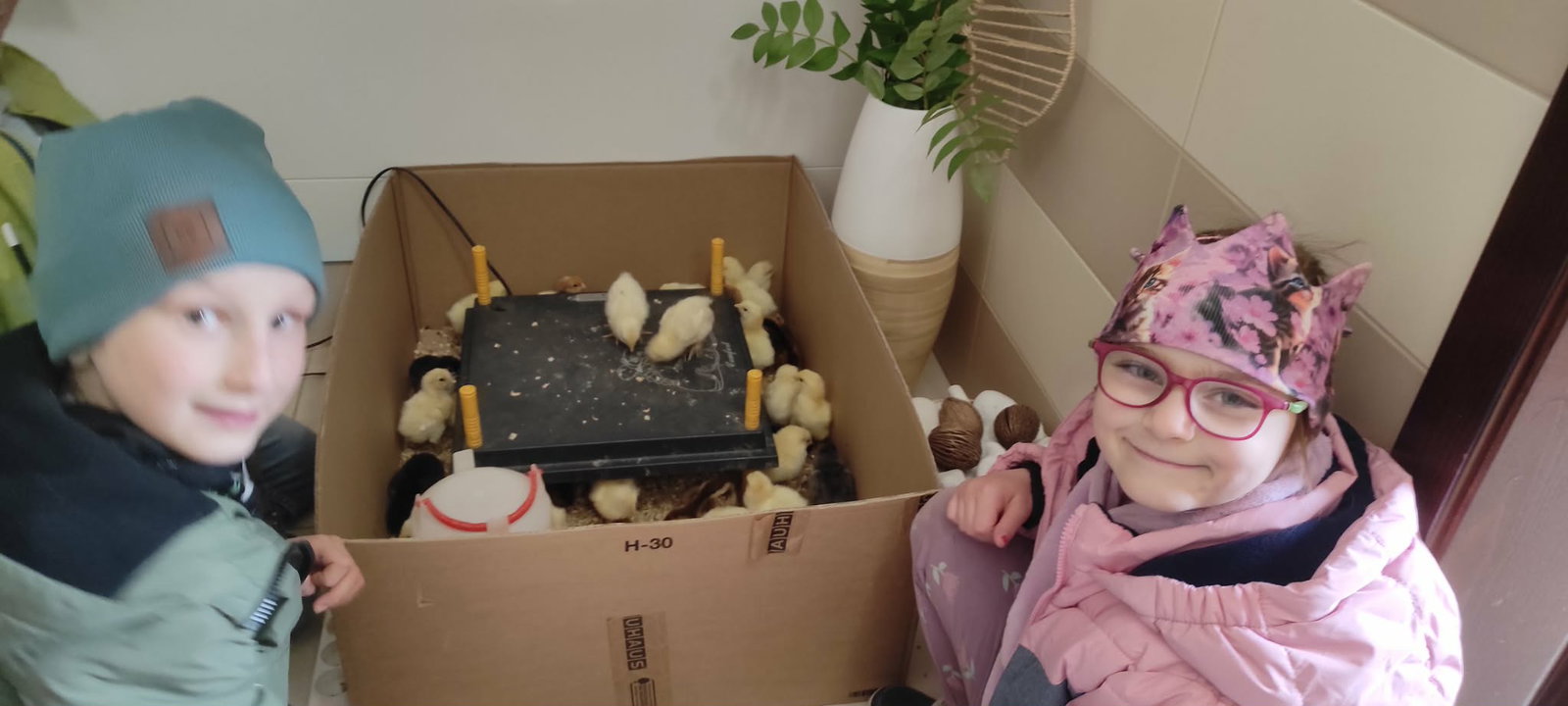 28a4a062-a3d9-41cf-b0b2-0661a2b3046b