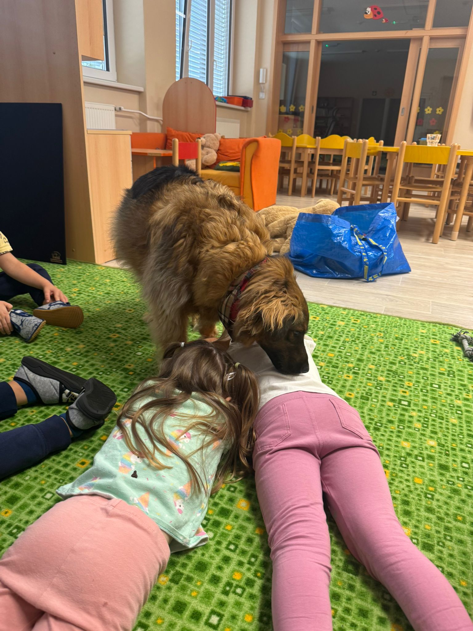 WhatsApp Image 2025-09-16 at 10.52.18