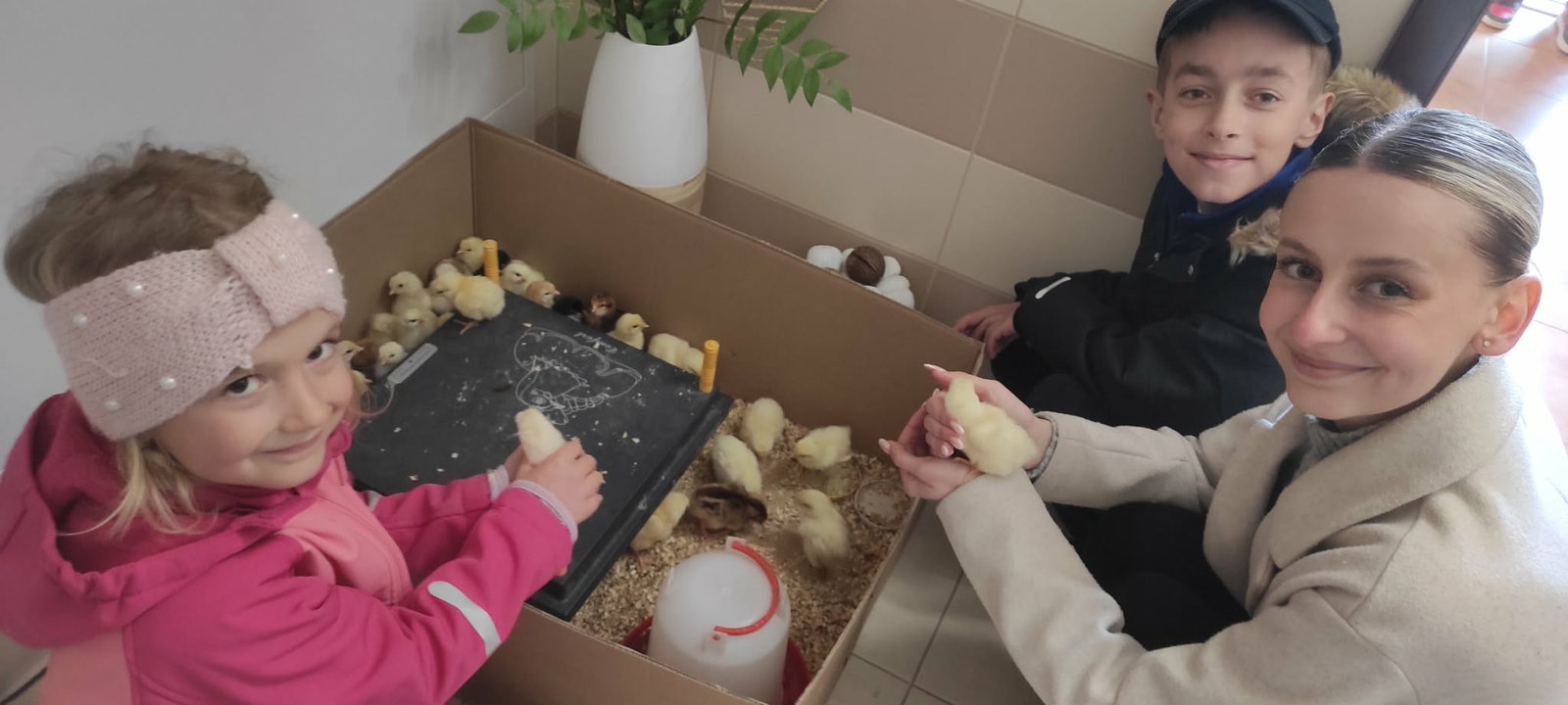 fd4ea21d-e14a-4bd8-8649-4c3f53419602