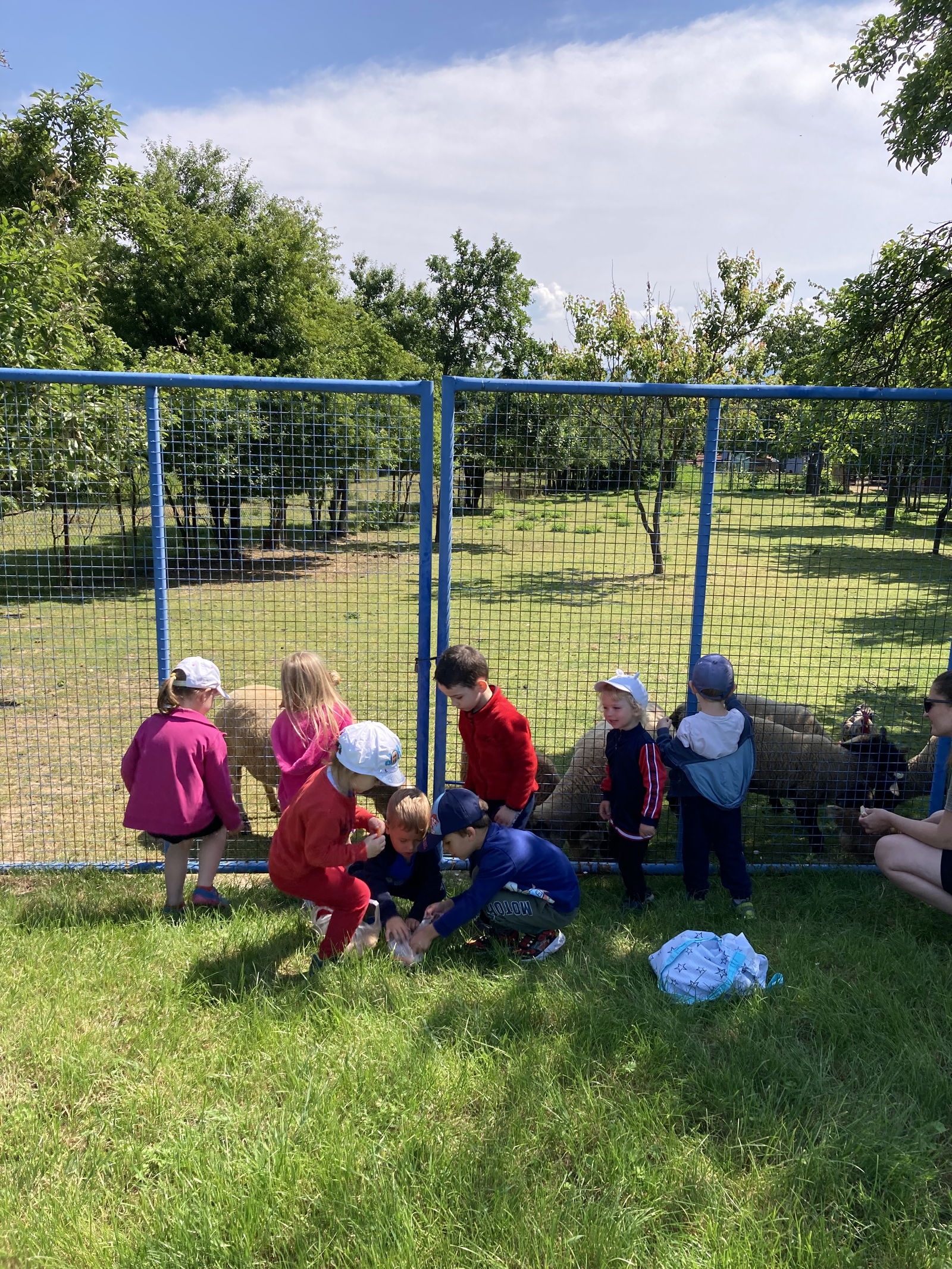 165AC458-3A60-493E-B31B-F89266483EEB