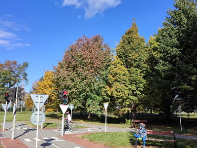 5bdb13a17611c36fab77fa9d4539cc1d