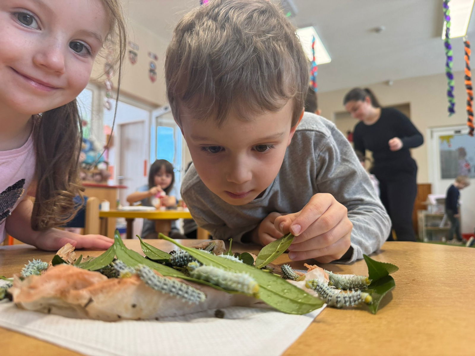 WhatsApp Image 2026-02-18 at 09.49.16 (2)