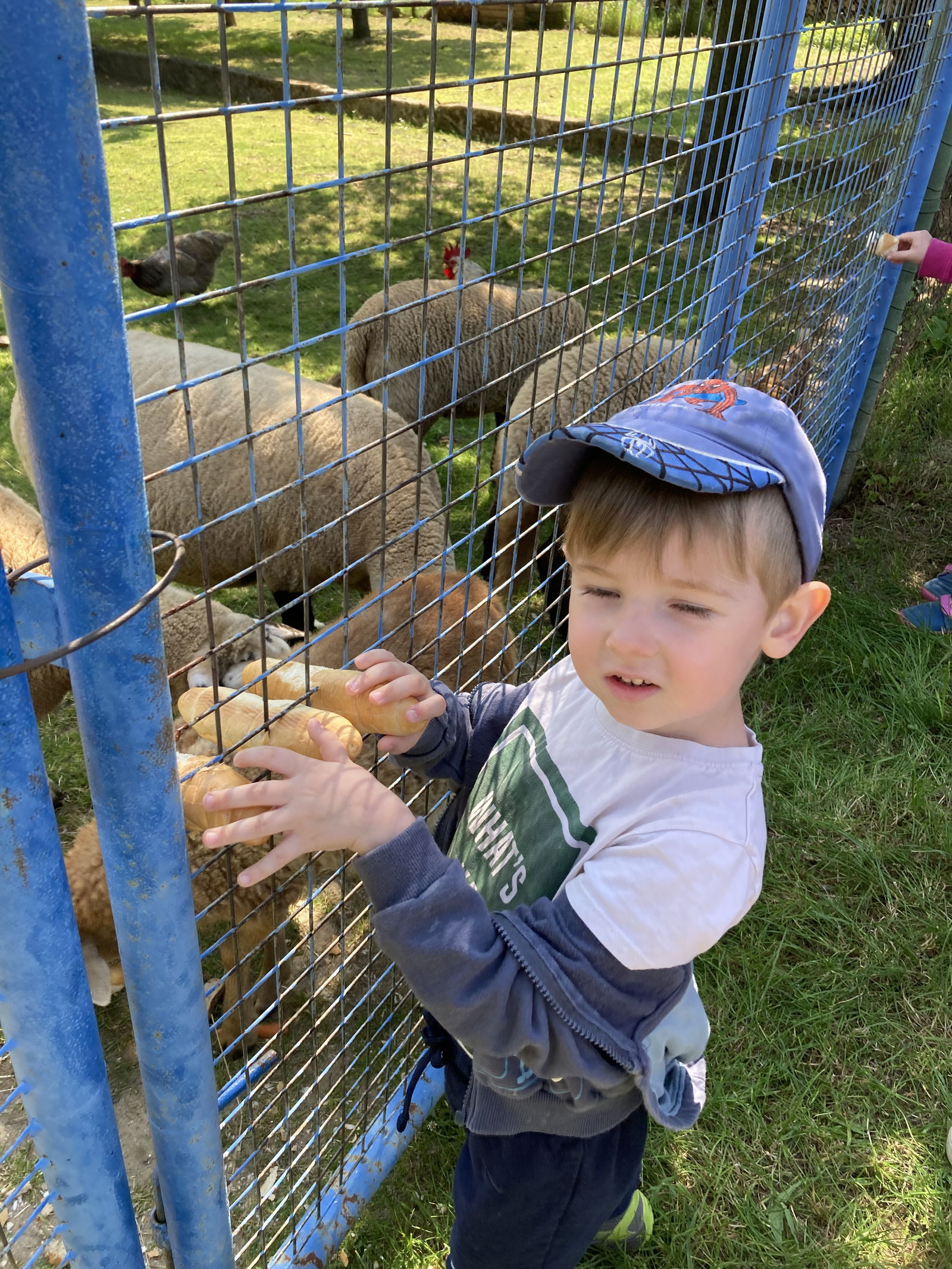 4AC05E9B-90DE-4DFA-A659-5A2C39B30448