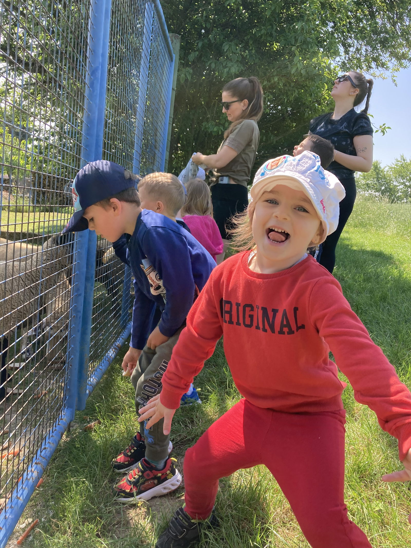 0106F174-49BB-43CF-80A3-5A4D3A8ECC44