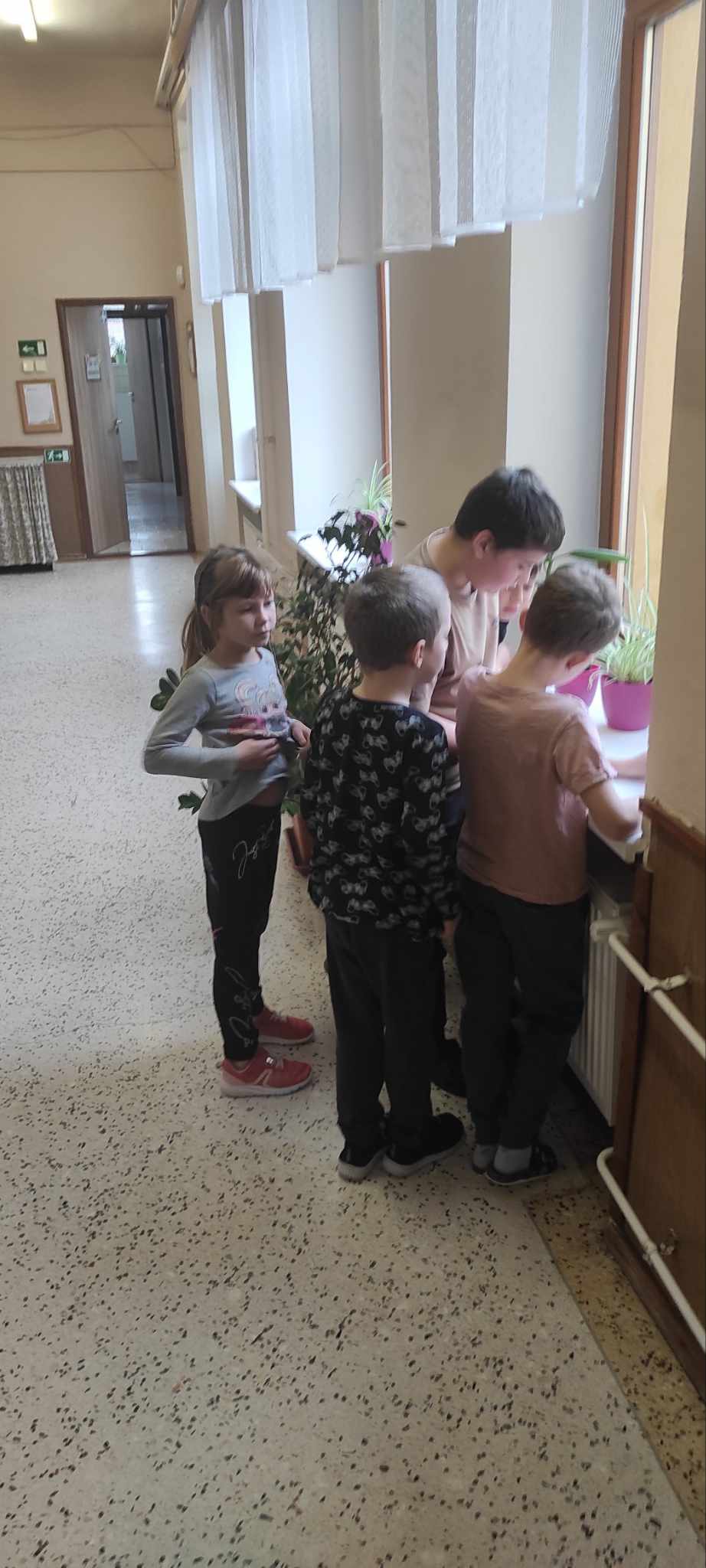 464677697_1523148091721416_4093791037859252732_n