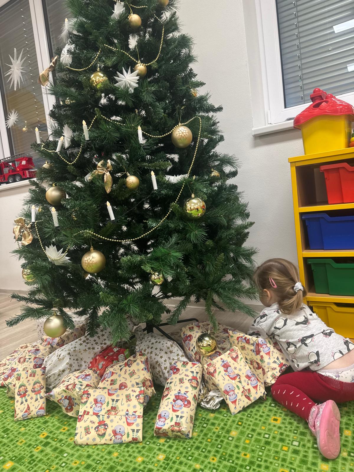 Obrázek WhatsApp, 2024-12-18 v 12.01.01_57d6ea80