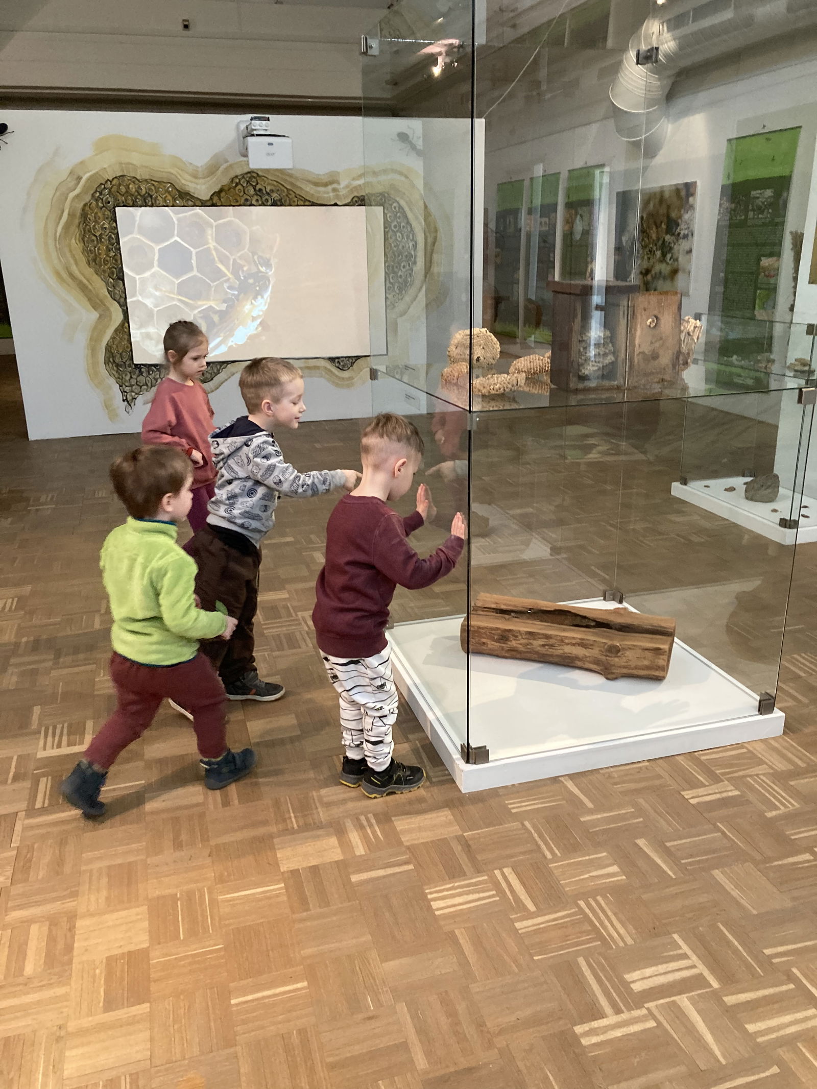 6064A3FF-0DDA-412E-AB0F-E53D772B8067