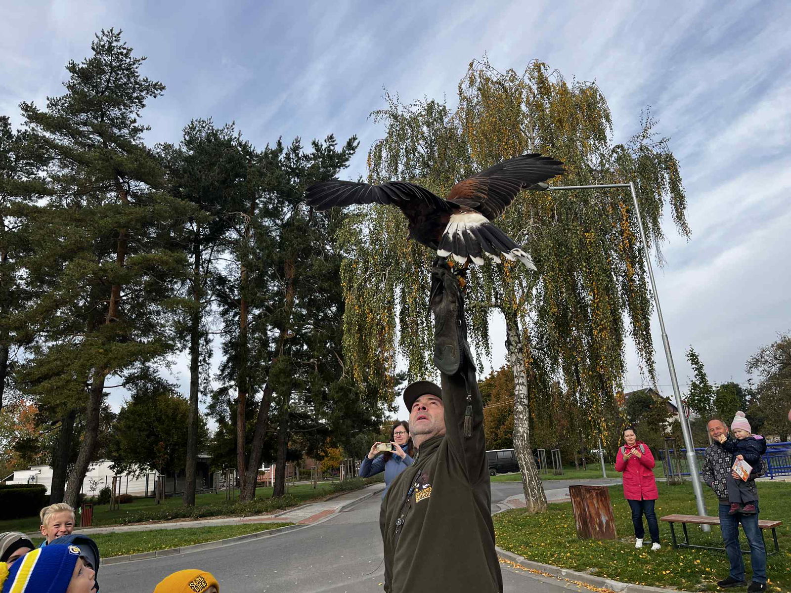 0d390525-0663-4e31-9f9a-bc83bf760486