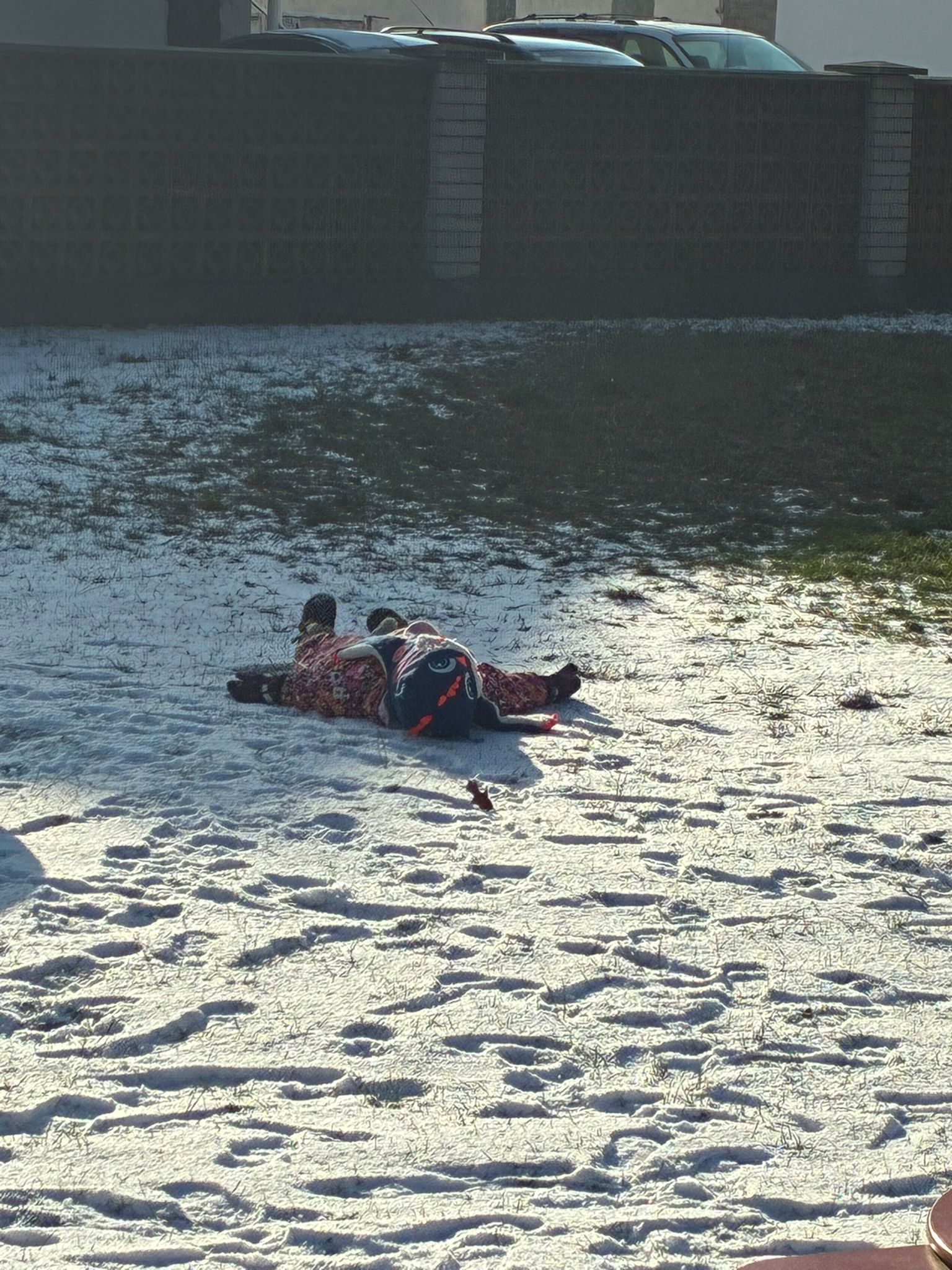 WhatsApp Image 2026-01-09 at 14.25.32 (1)