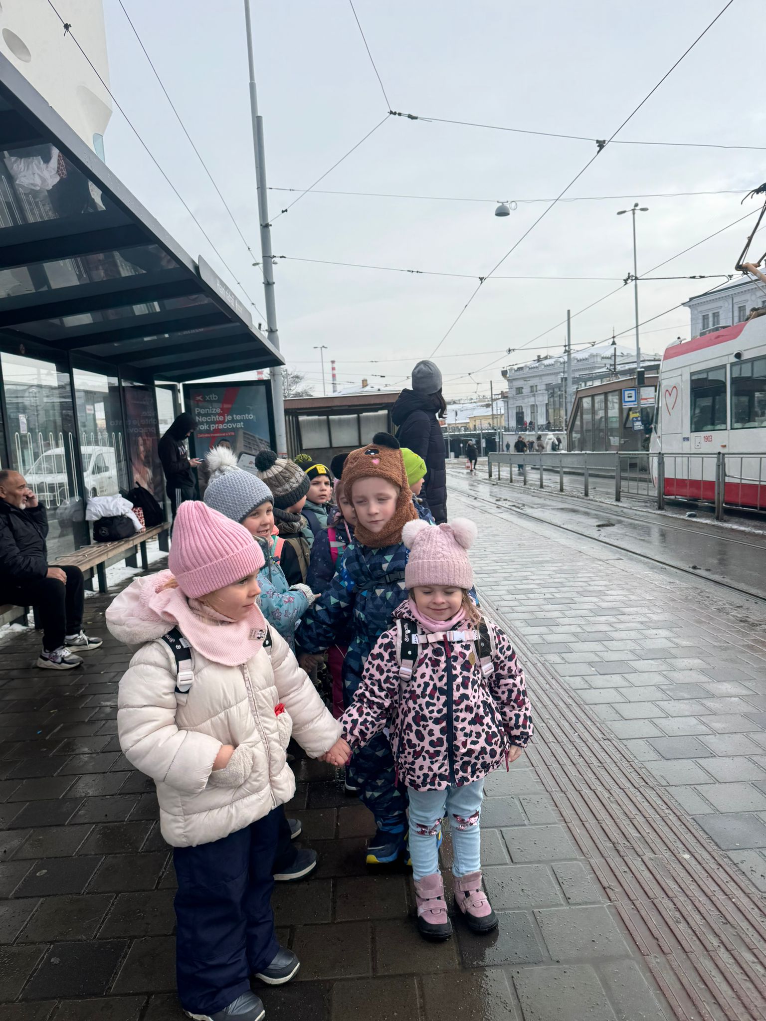 WhatsApp Image 2026-02-17 at 11.33.35 (4)