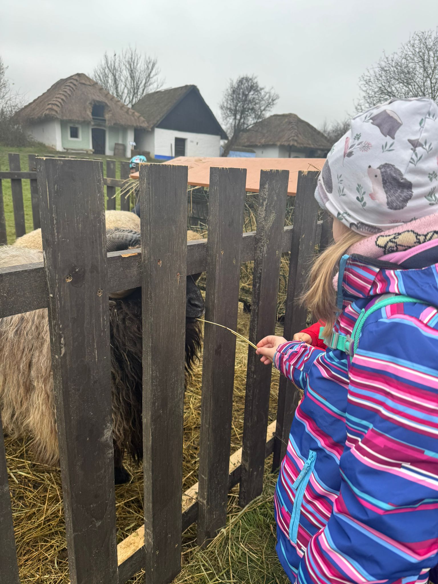 Obrázek WhatsApp, 2025-12-02 v 05.43.57_2e99b2f6