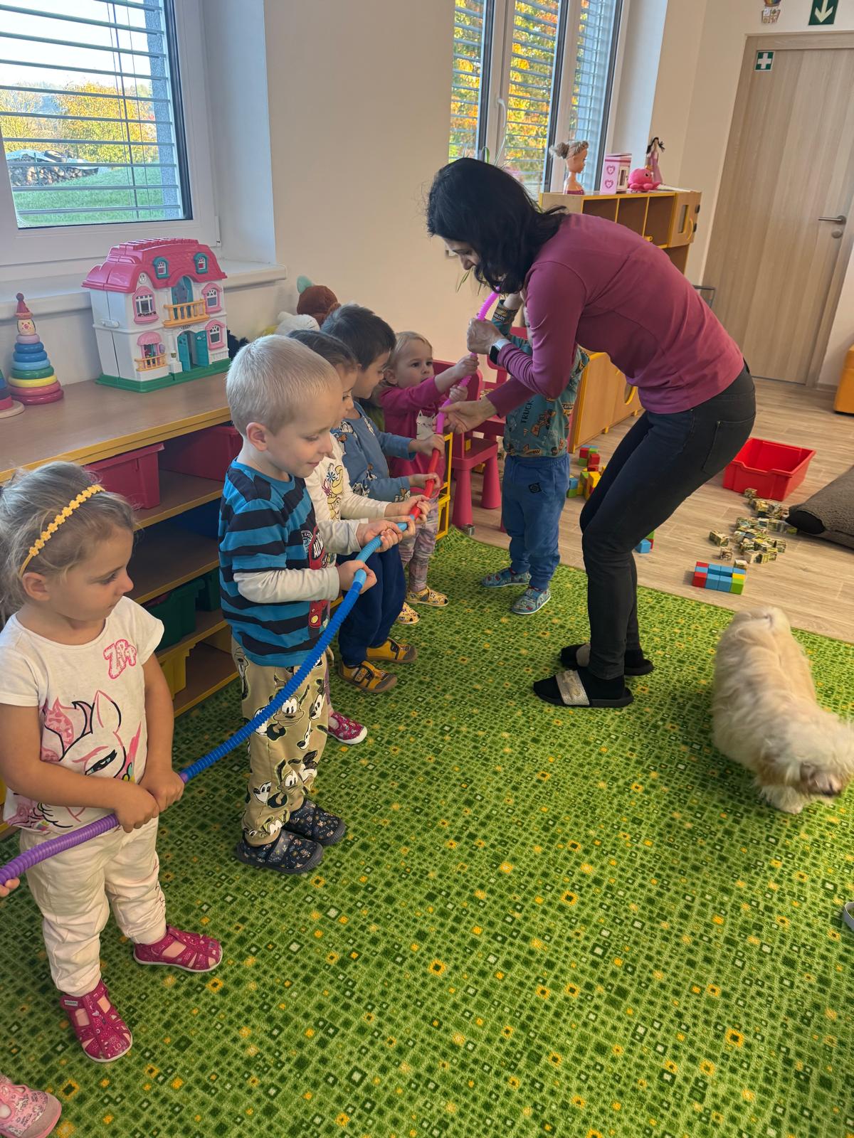 Obrázek WhatsApp, 2024-11-14 v 08.01.09_924a169e