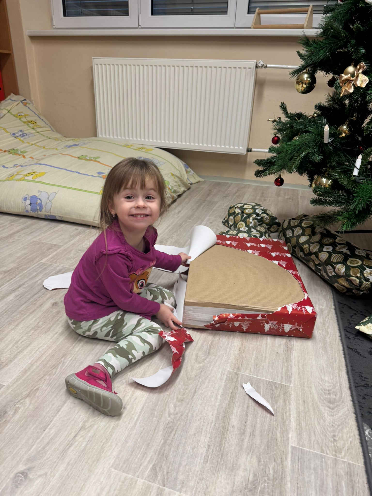 Obrázek WhatsApp, 2025-12-15 v 14.39.11_25144026