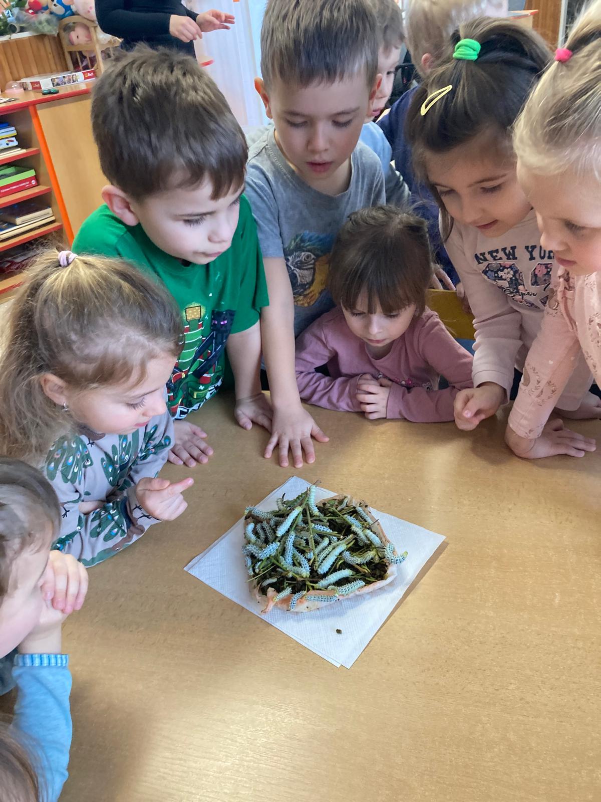 WhatsApp Image 2026-03-01 at 19.58.41 (2)