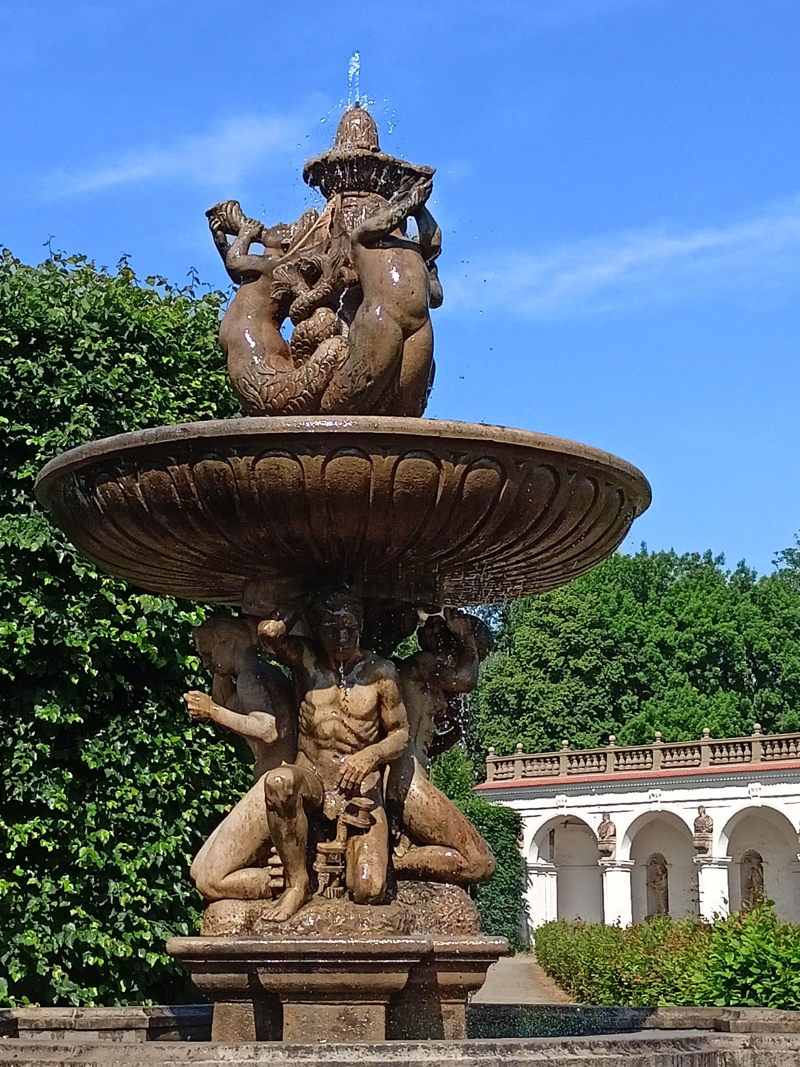 IMG20240530092925_BURST000_COVER