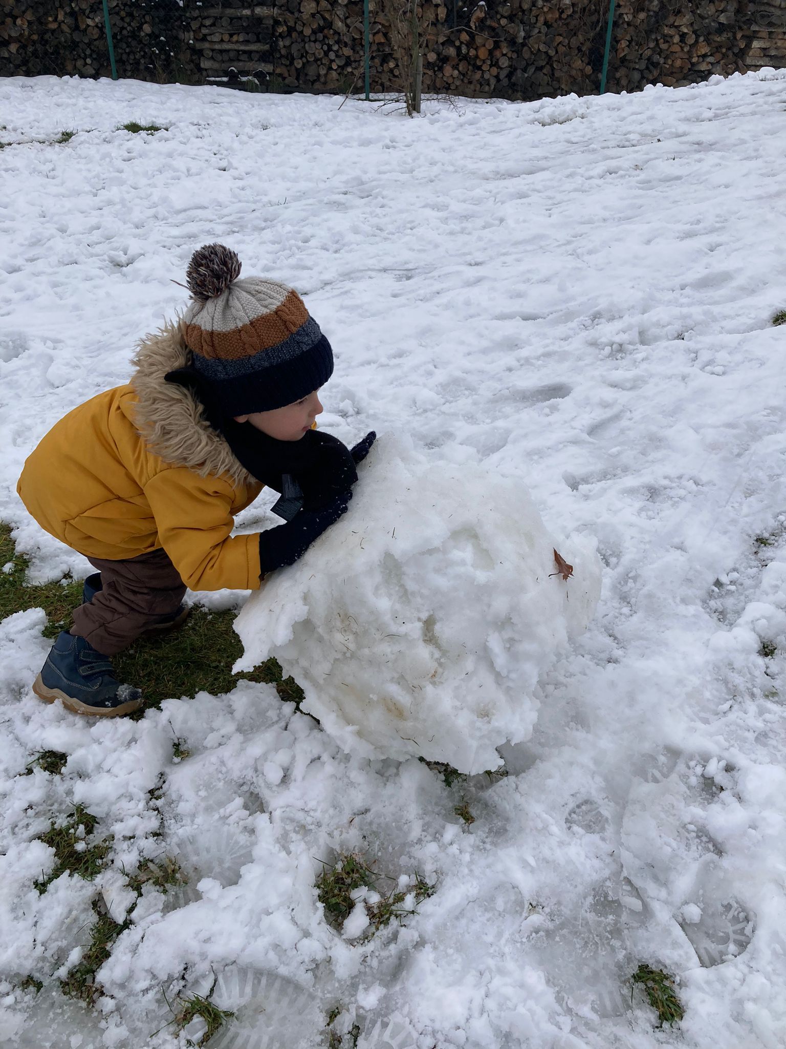 Obrázek WhatsApp, 2023-12-11 v 10.24.25_5798ce98