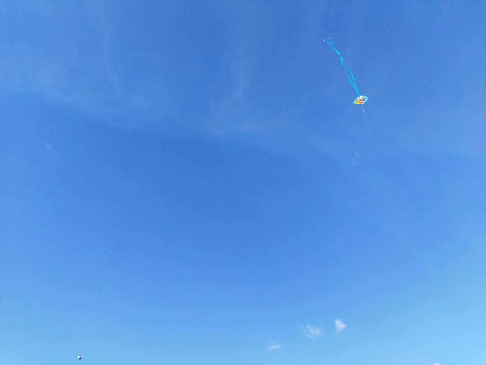 b85f0ce4-ba22-4a6e-856c-4a60a6b44cf4