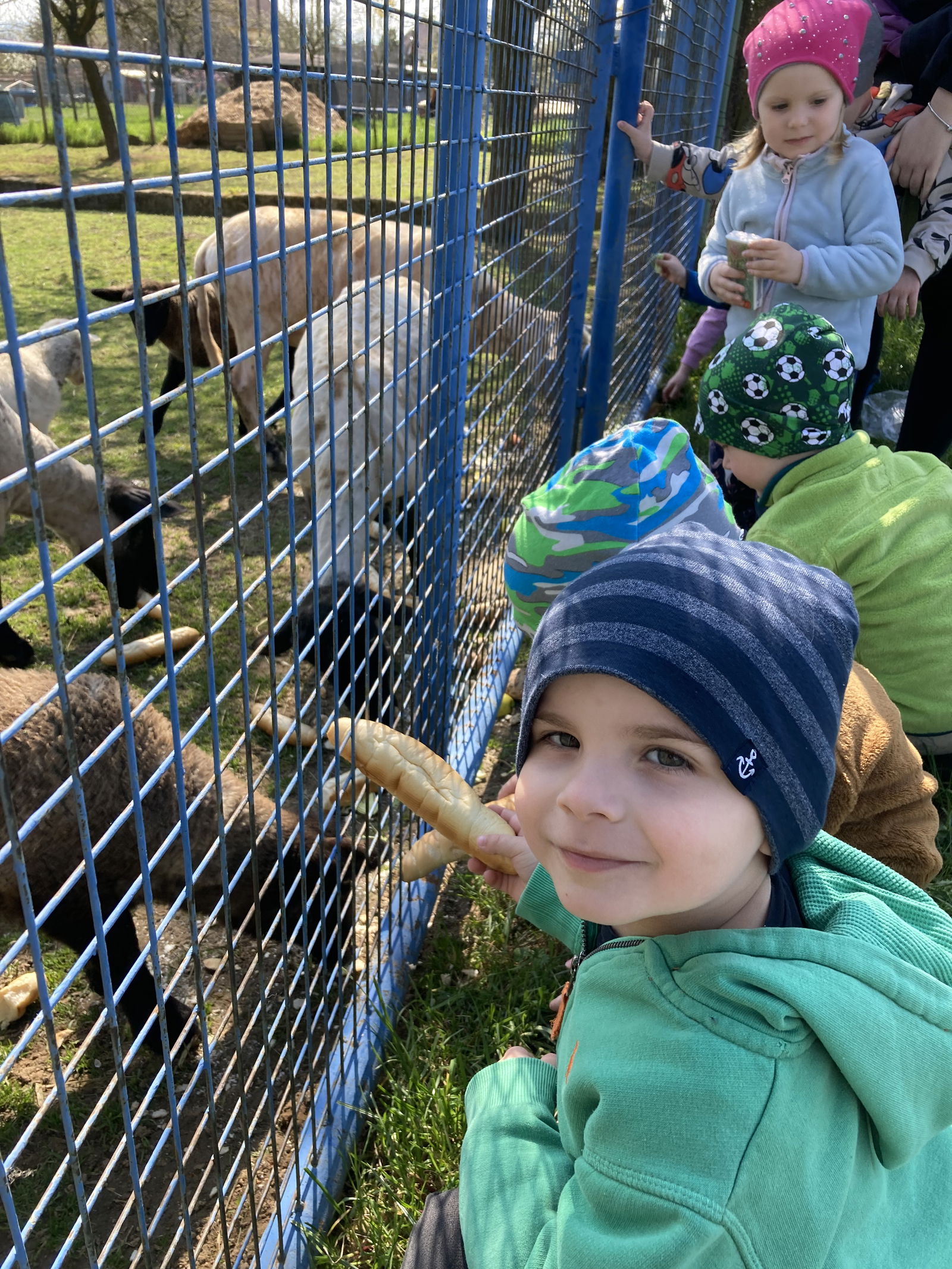 F135FEE5-7E4B-4D9E-BBB2-EC4889ED8A74