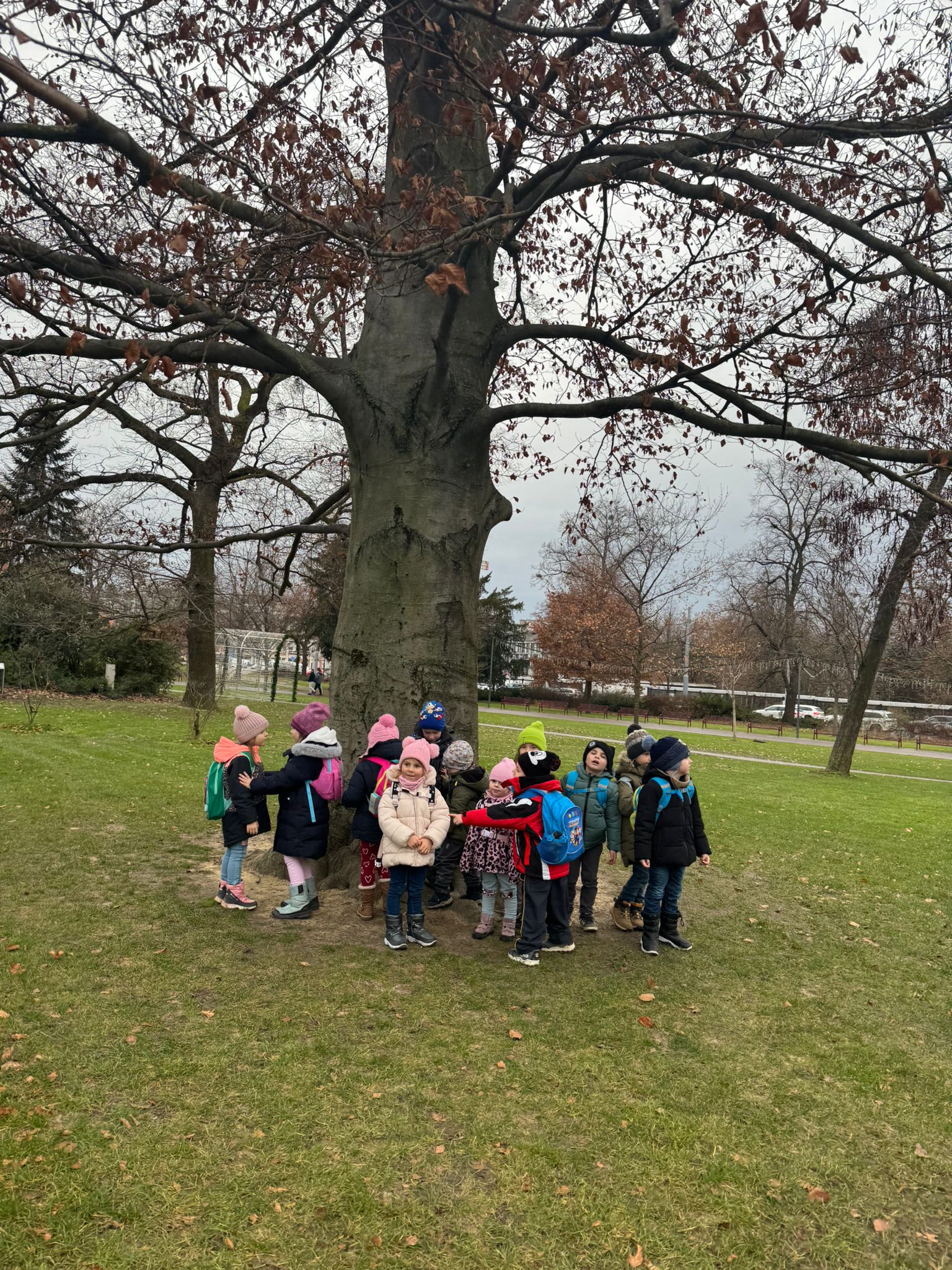 Obrázek WhatsApp, 2025-12-05 v 19.30.22_eb0a4436