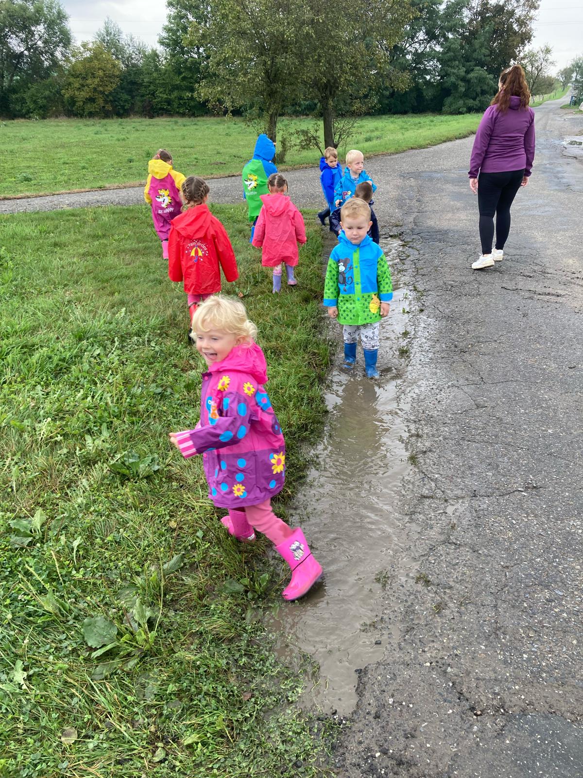 Obrázek WhatsApp, 2024-11-14 v 08.14.24_a81b4cb6