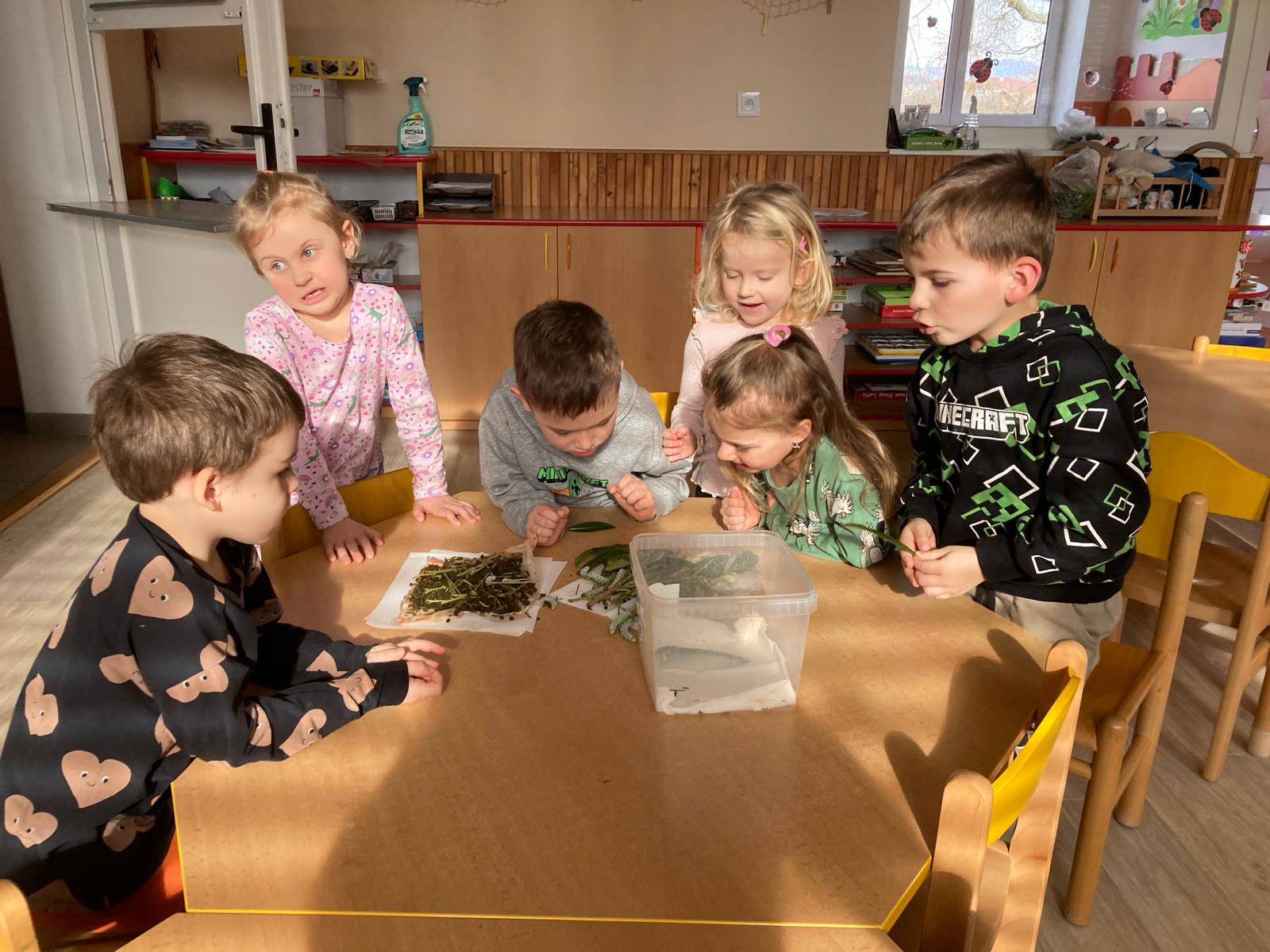 WhatsApp Image 2026-03-04 at 09.39.12