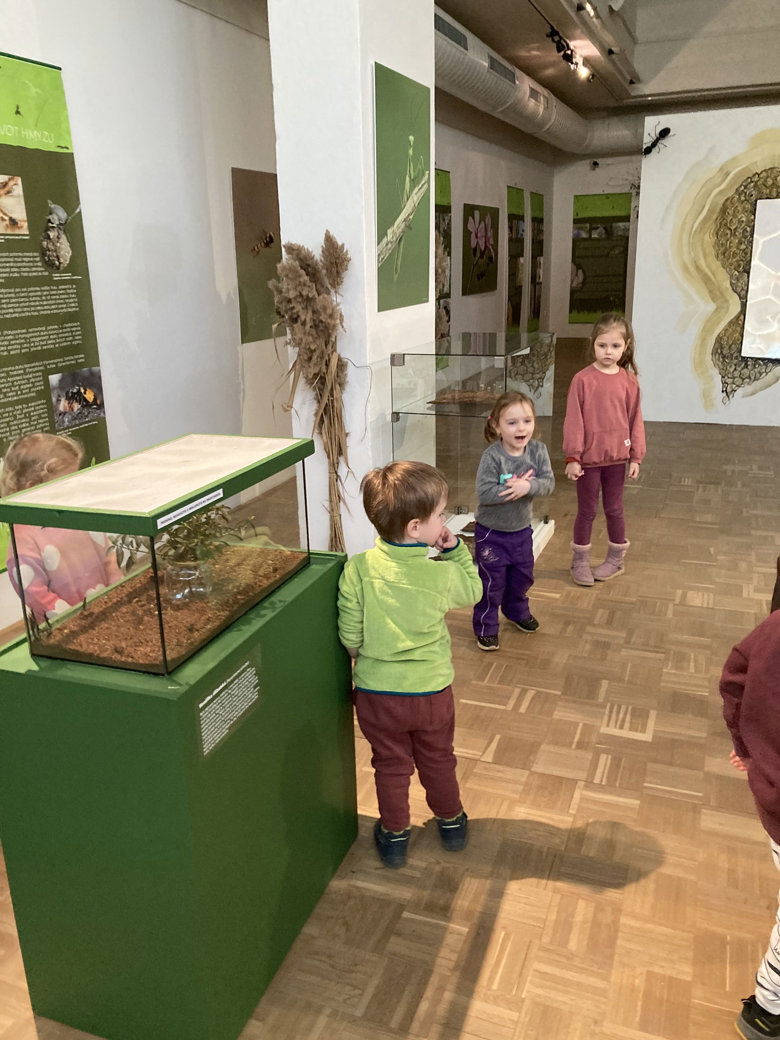 6FDE90B7-751E-4C4D-8C65-F1DEEF8236A0