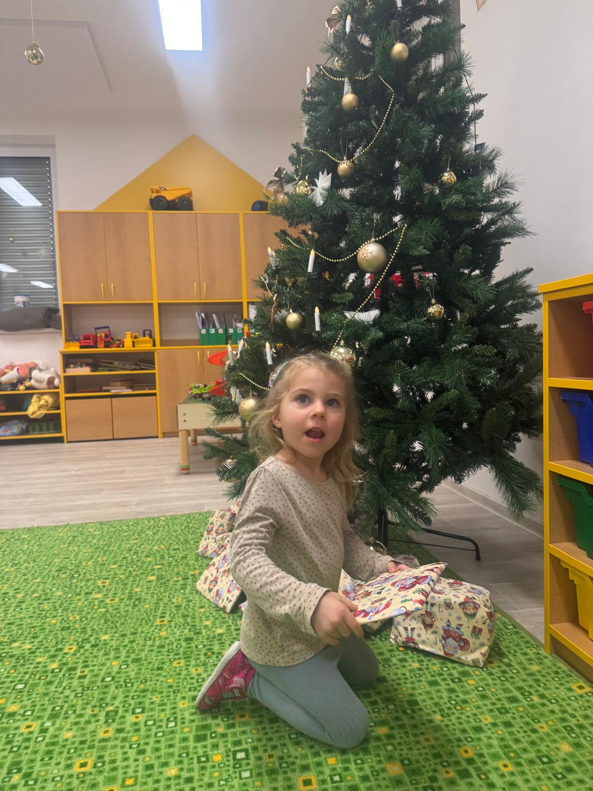 Obrázek WhatsApp, 2024-12-18 v 12.01.02_2a5c480a