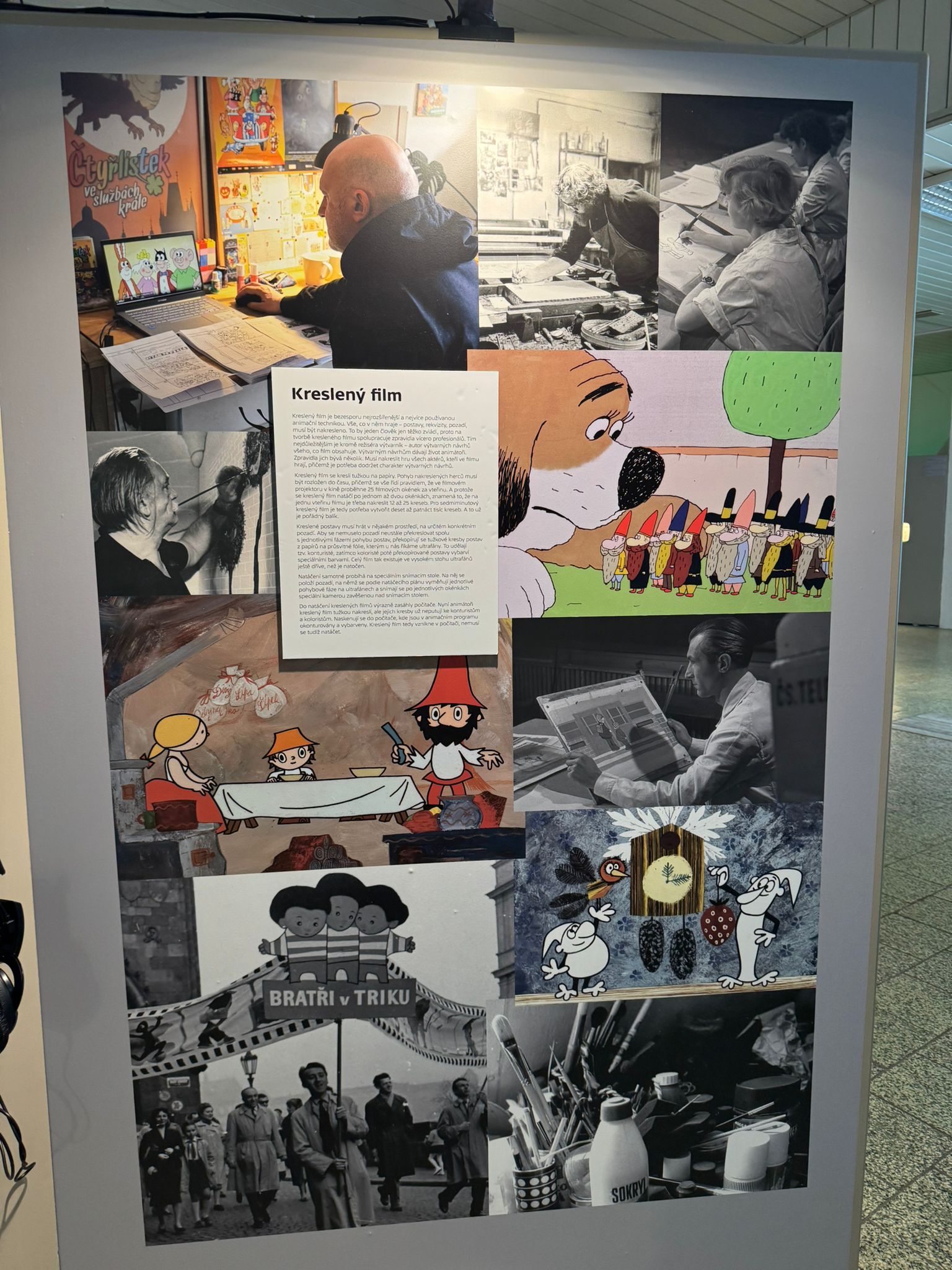 WhatsApp Image 2026-02-17 at 11.33.31 (2)