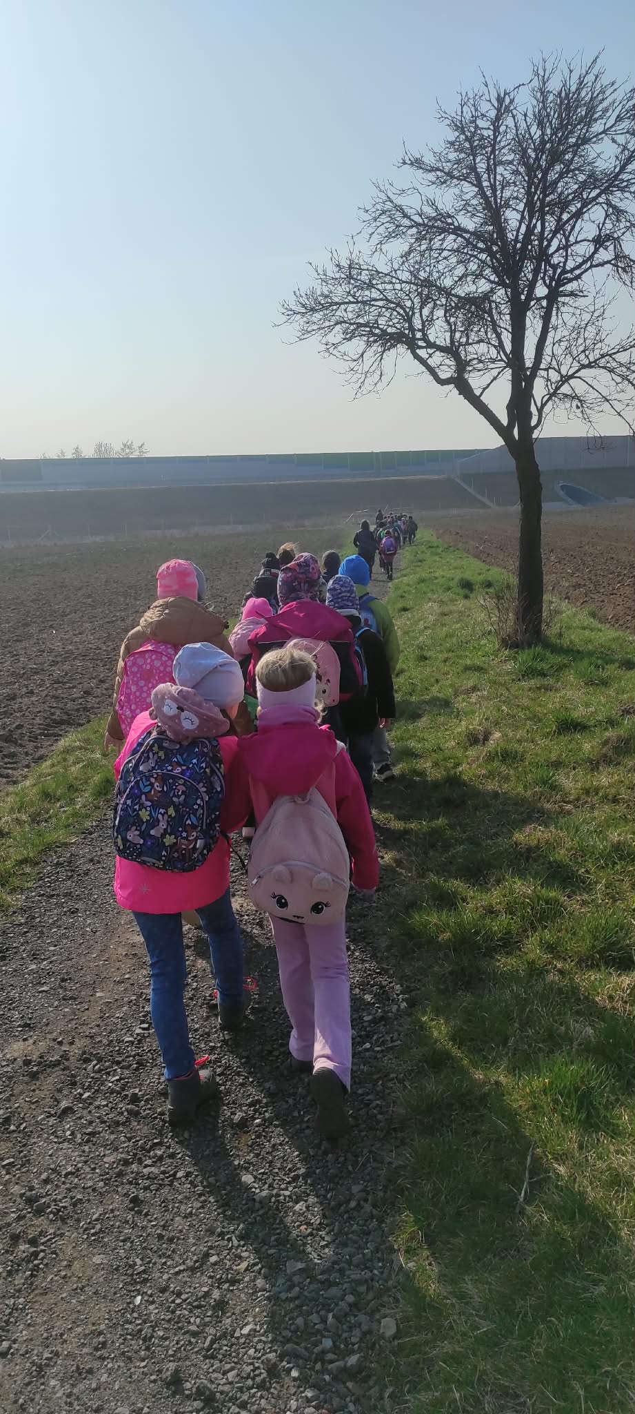 85cabf97-46eb-4a27-9a41-60e7b4ab2914