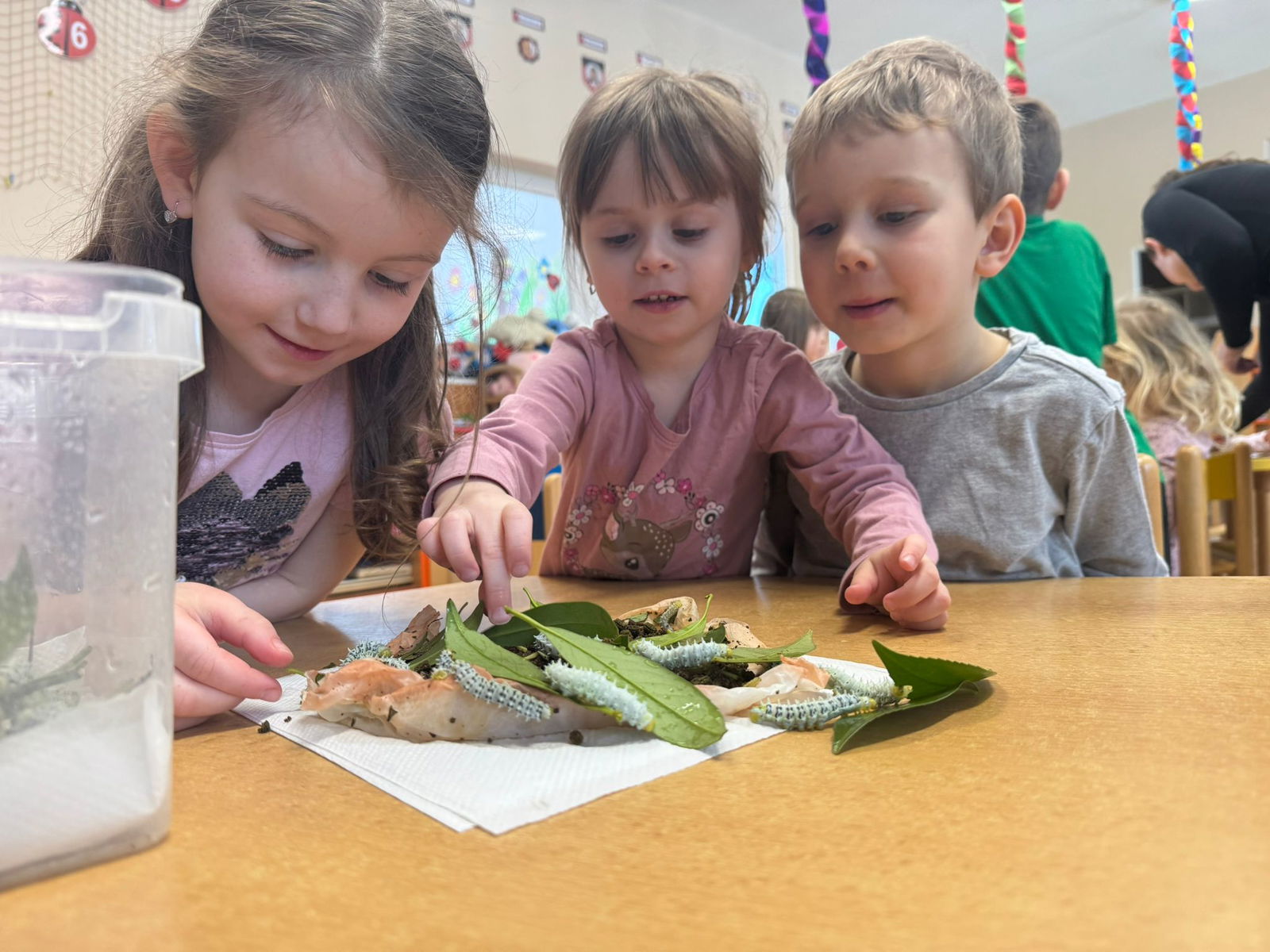 WhatsApp Image 2026-02-18 at 09.49.16