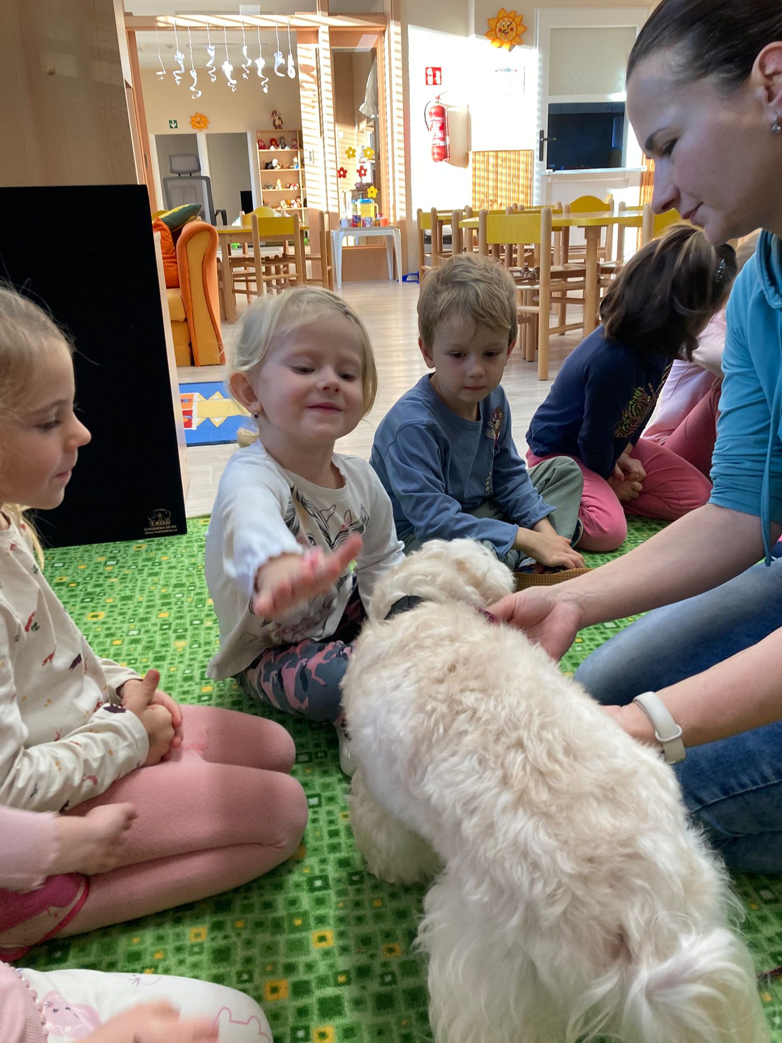 Obrázek WhatsApp, 2025-11-24 v 17.07.55_b836e3a8