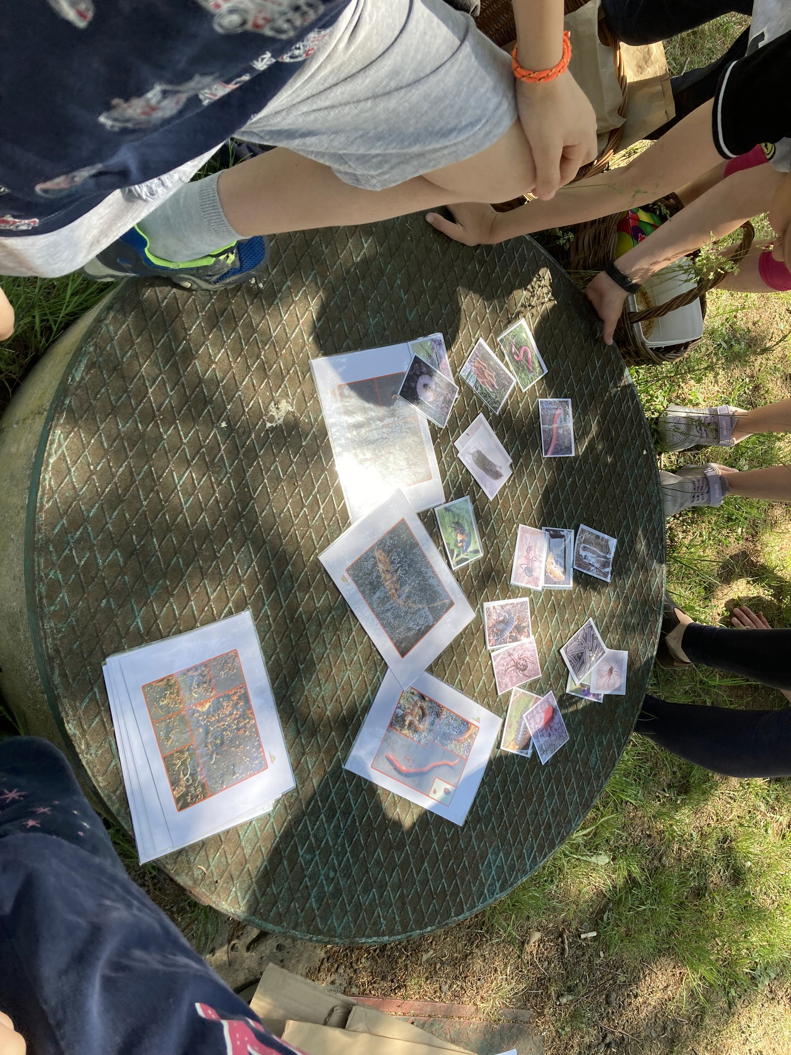 D7DB8805-A86A-4C8C-9217-C9FCCA617070