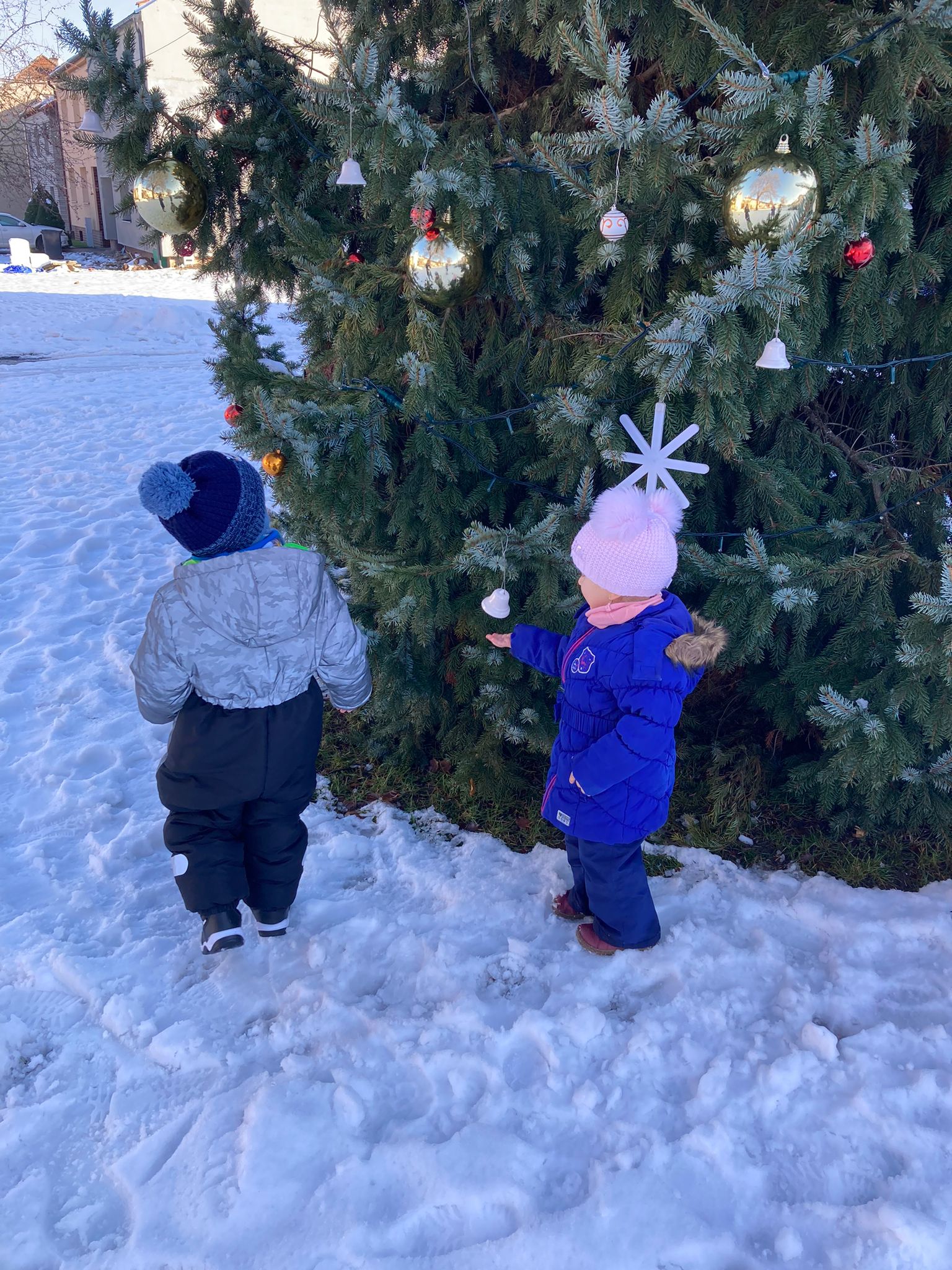 Obrázek WhatsApp, 2023-12-11 v 13.14.25_58105839