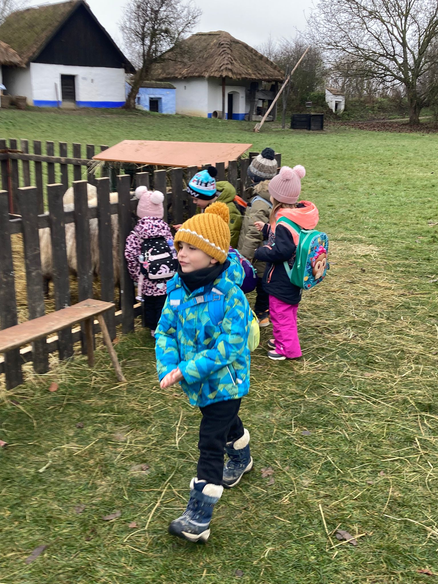 Obrázek WhatsApp, 2025-12-01 v 18.11.56_ebbdd577