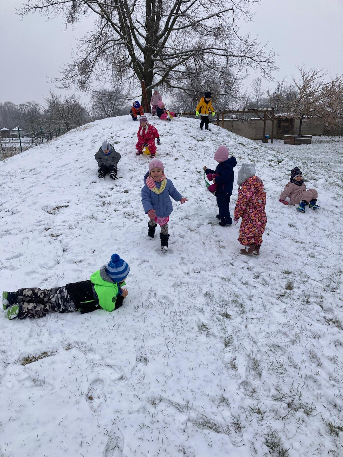 Obrázek WhatsApp, 2025-03-06 v 13.35.03_ee5d9f4d