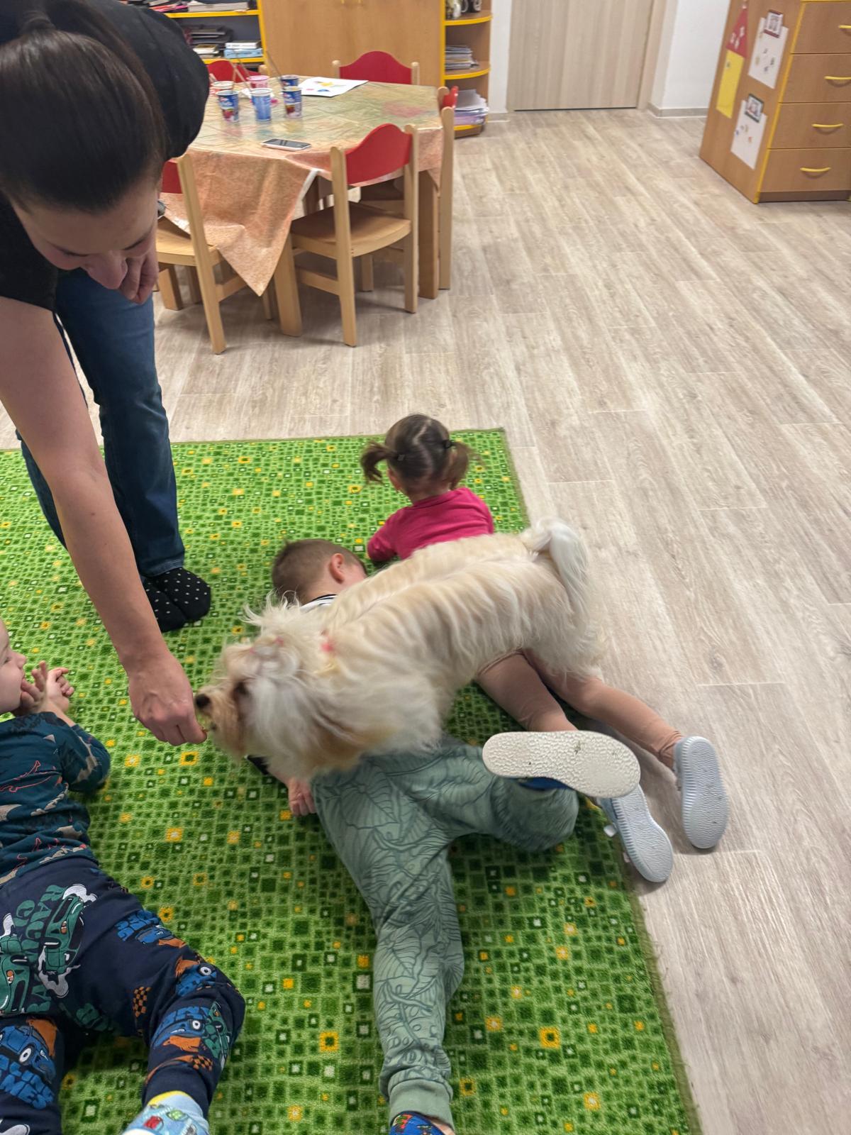 Obrázek WhatsApp, 2024-11-14 v 08.01.09_b9788979