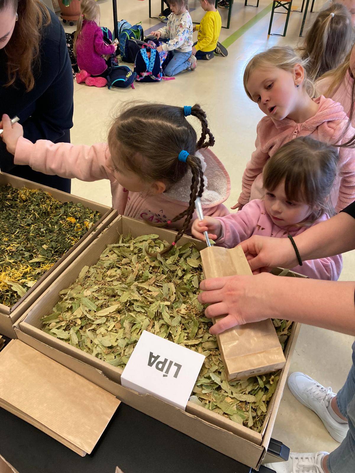 WhatsApp Image 2026-03-18 at 20.02.04 (5)