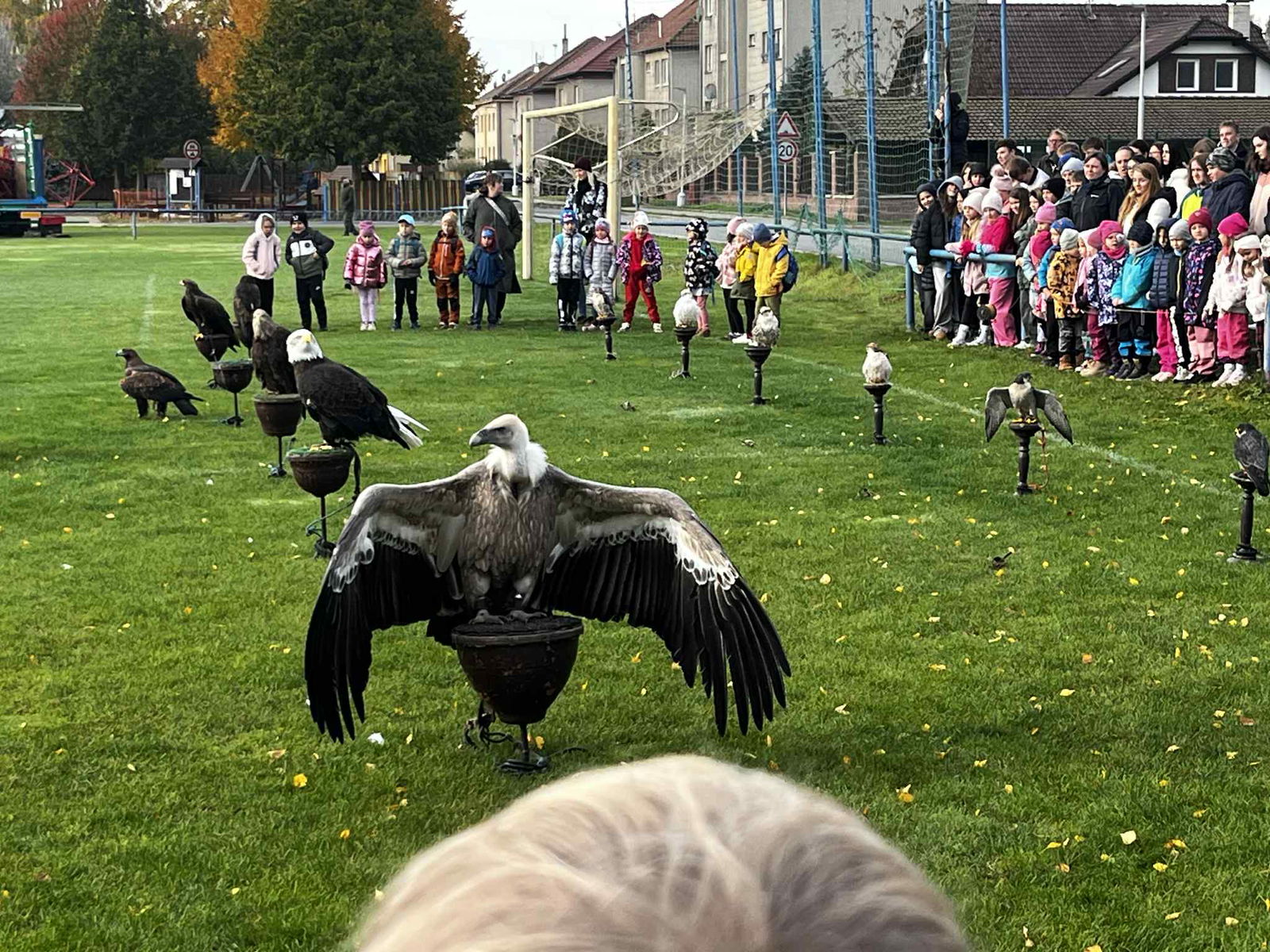 443fa857-35a7-402c-85fb-2c9dc118a7b0