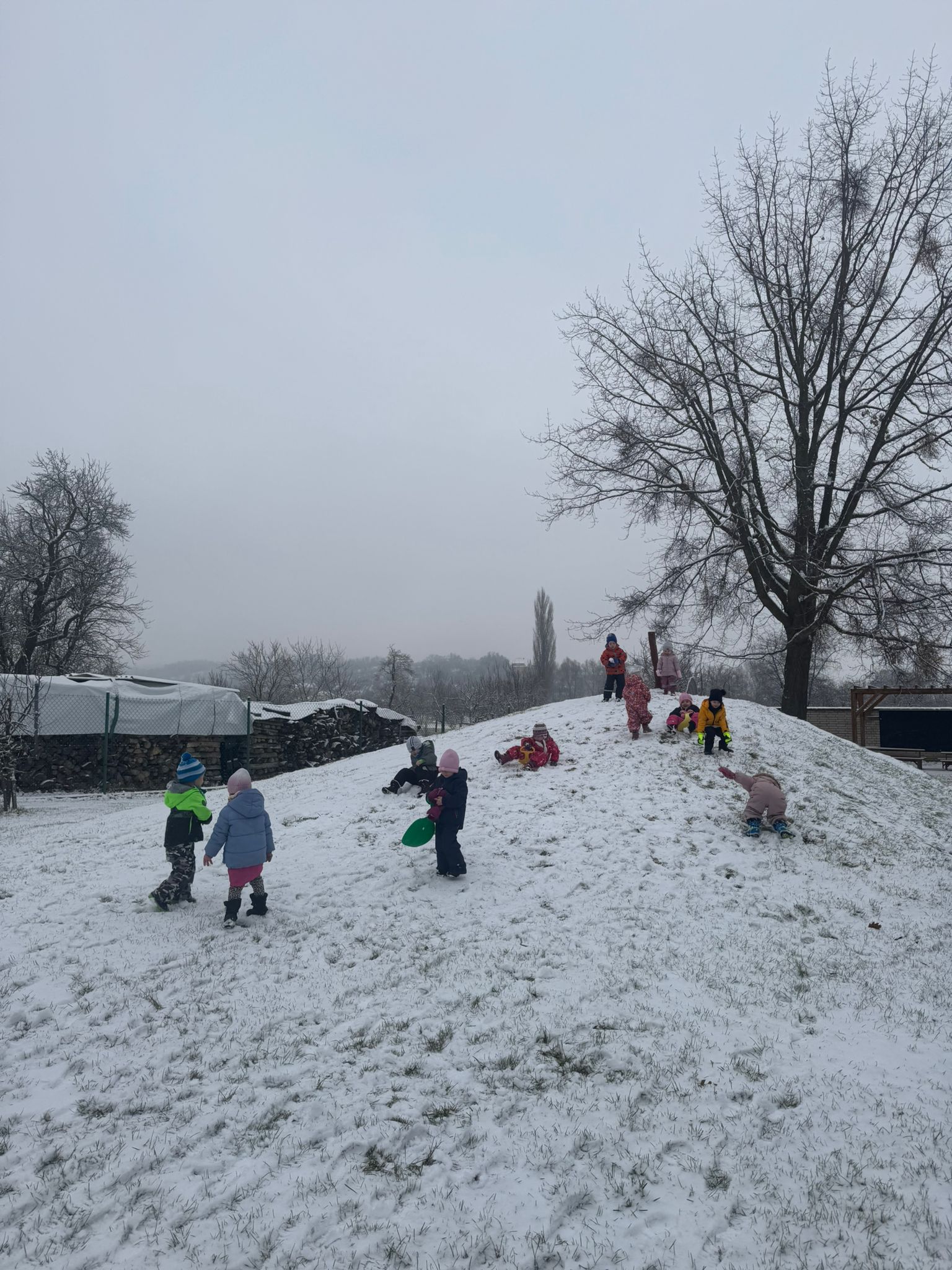 Obrázek WhatsApp, 2025-01-15 v 16.56.53_1a086403