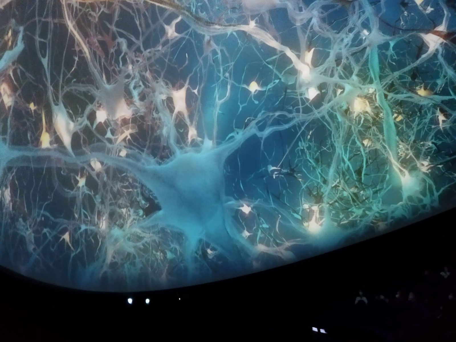 b82b7e336355059d2d9796fe55d01df5