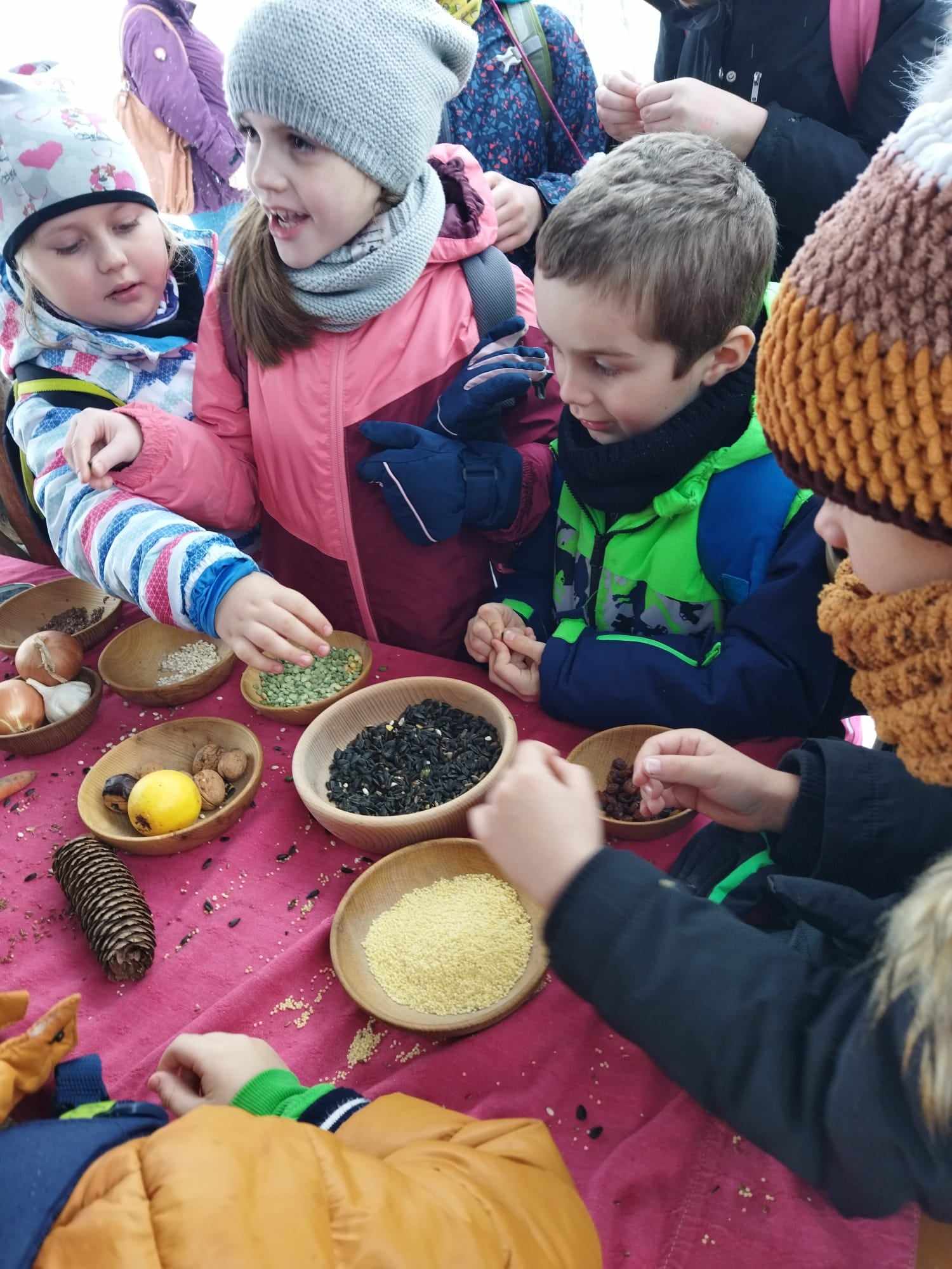 404236227_335182142575384_4959888245544782146_n