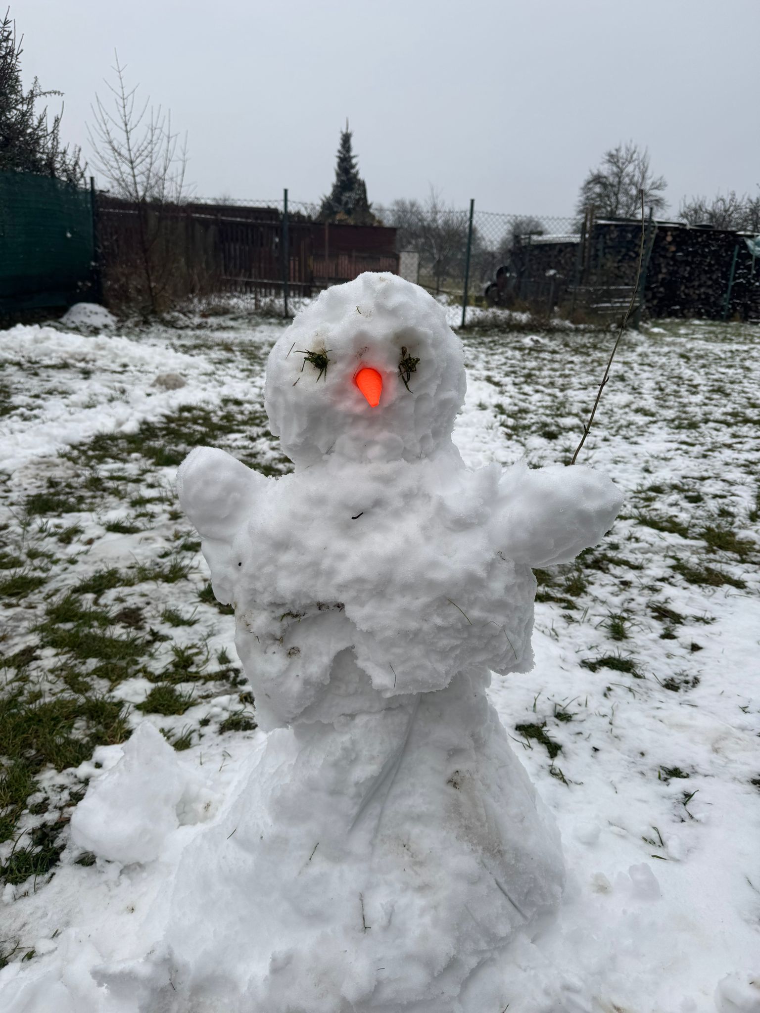 Obrázek WhatsApp, 2025-01-15 v 16.56.26_33e7da0a