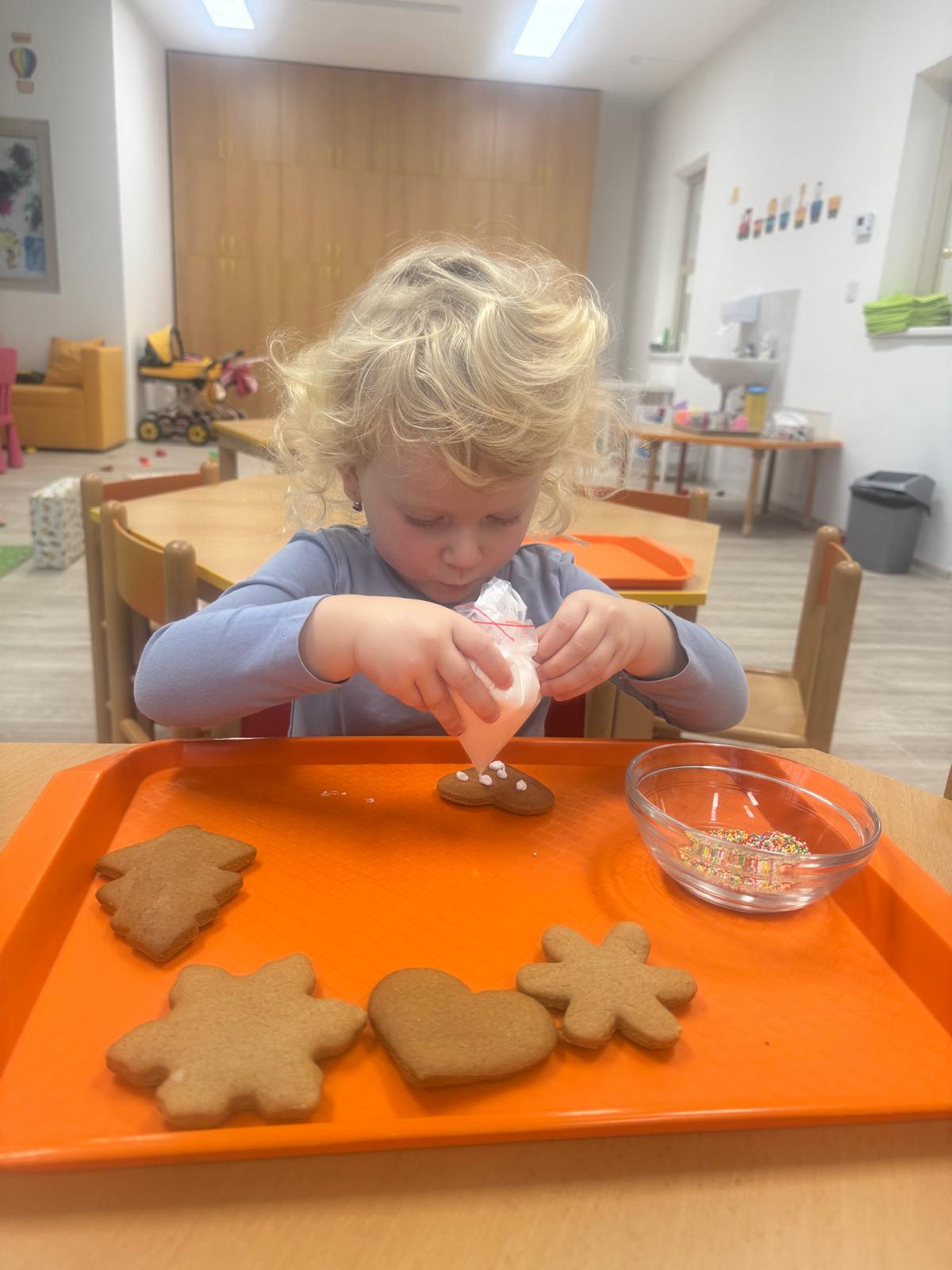 Obrázek WhatsApp, 2024-12-18 v 11.57.50_a2646936