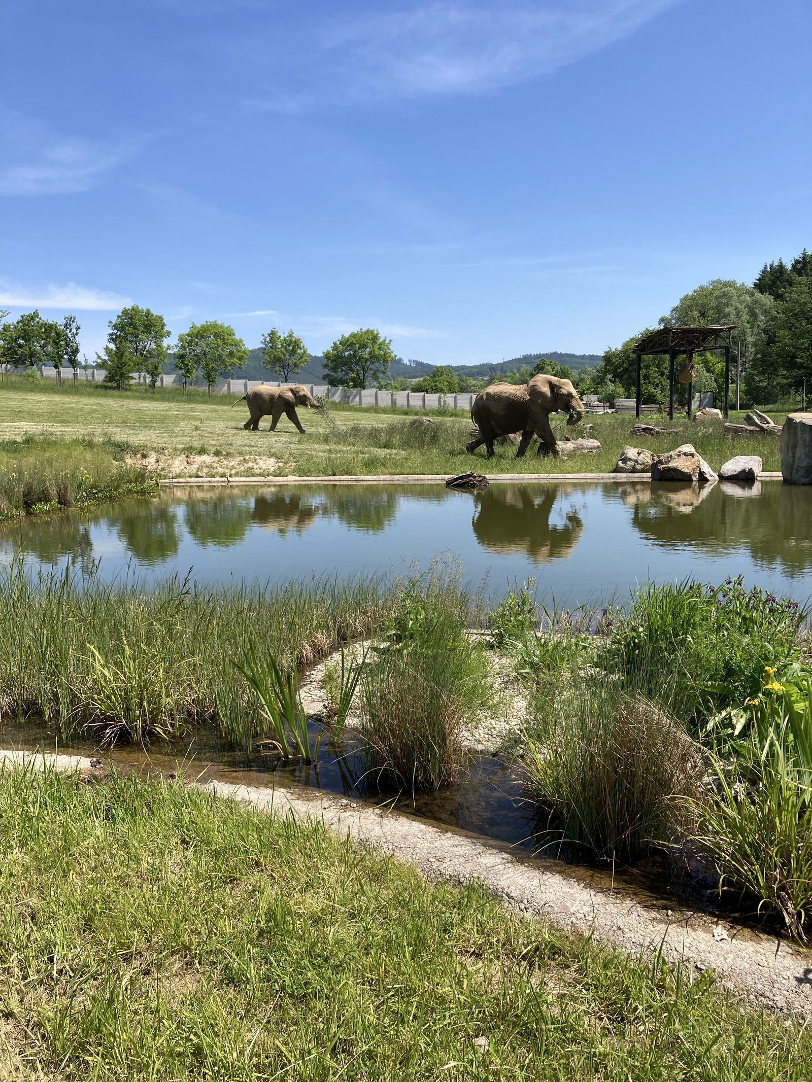 336ABBBA-5702-4CC6-9903-8BC1EE9CEF5D