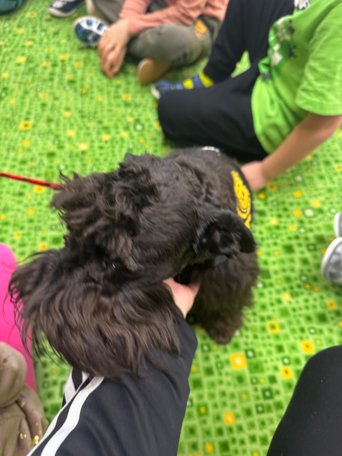 WhatsApp Image 2026-01-22 at 21.42.28 (5)