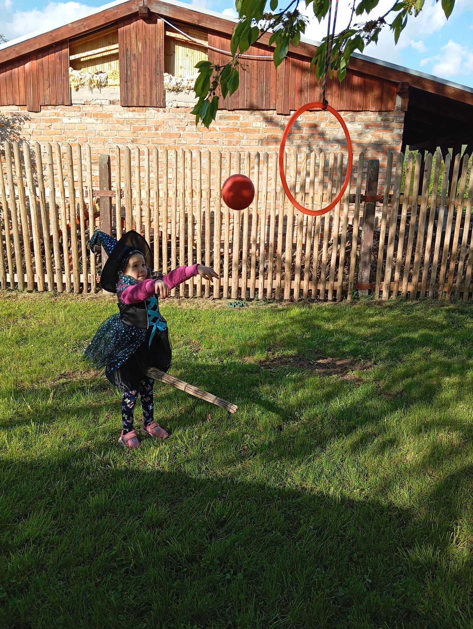 IMG_20240426_171953_1