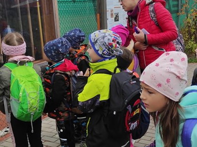 fd550c19a2989b5ca15f8c988a95179f